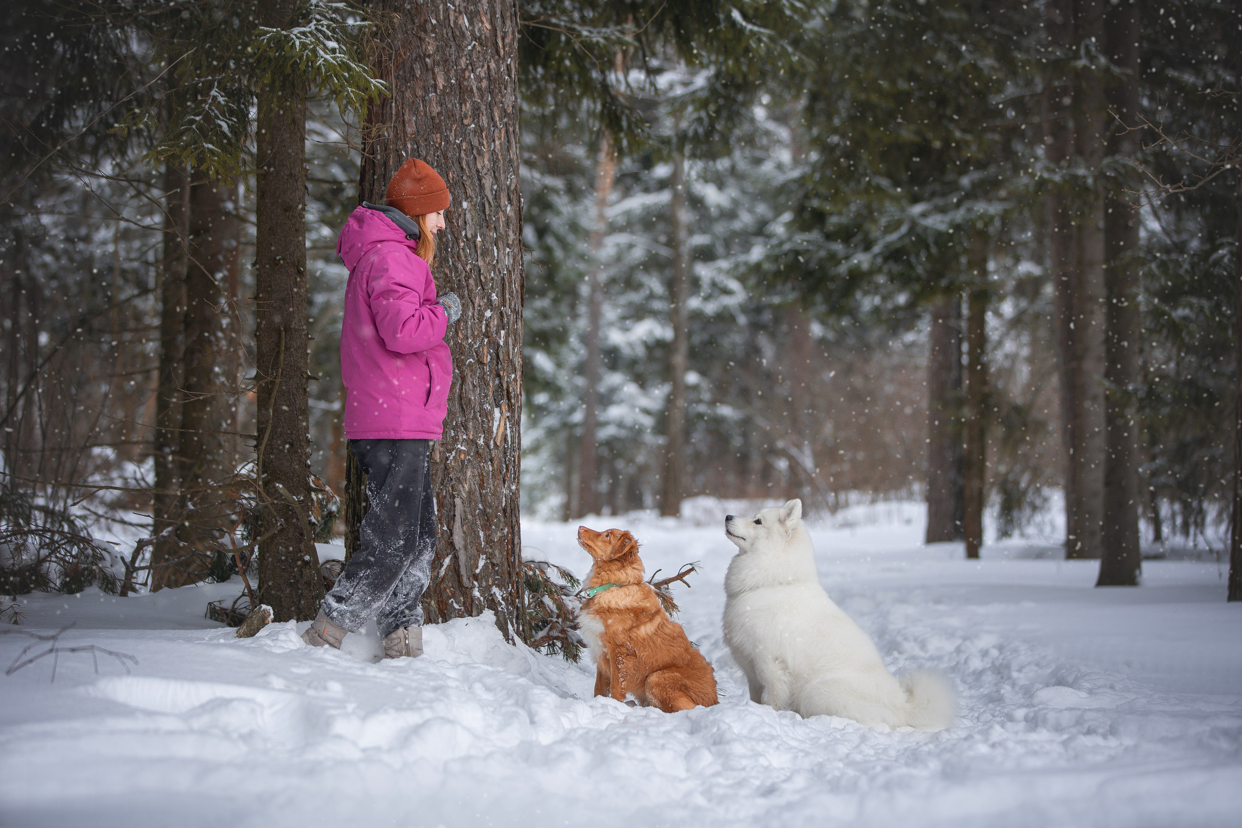 Руби, Николь, Кирилл и Мила. Фотограф анималист в Москве Майорова Евгения