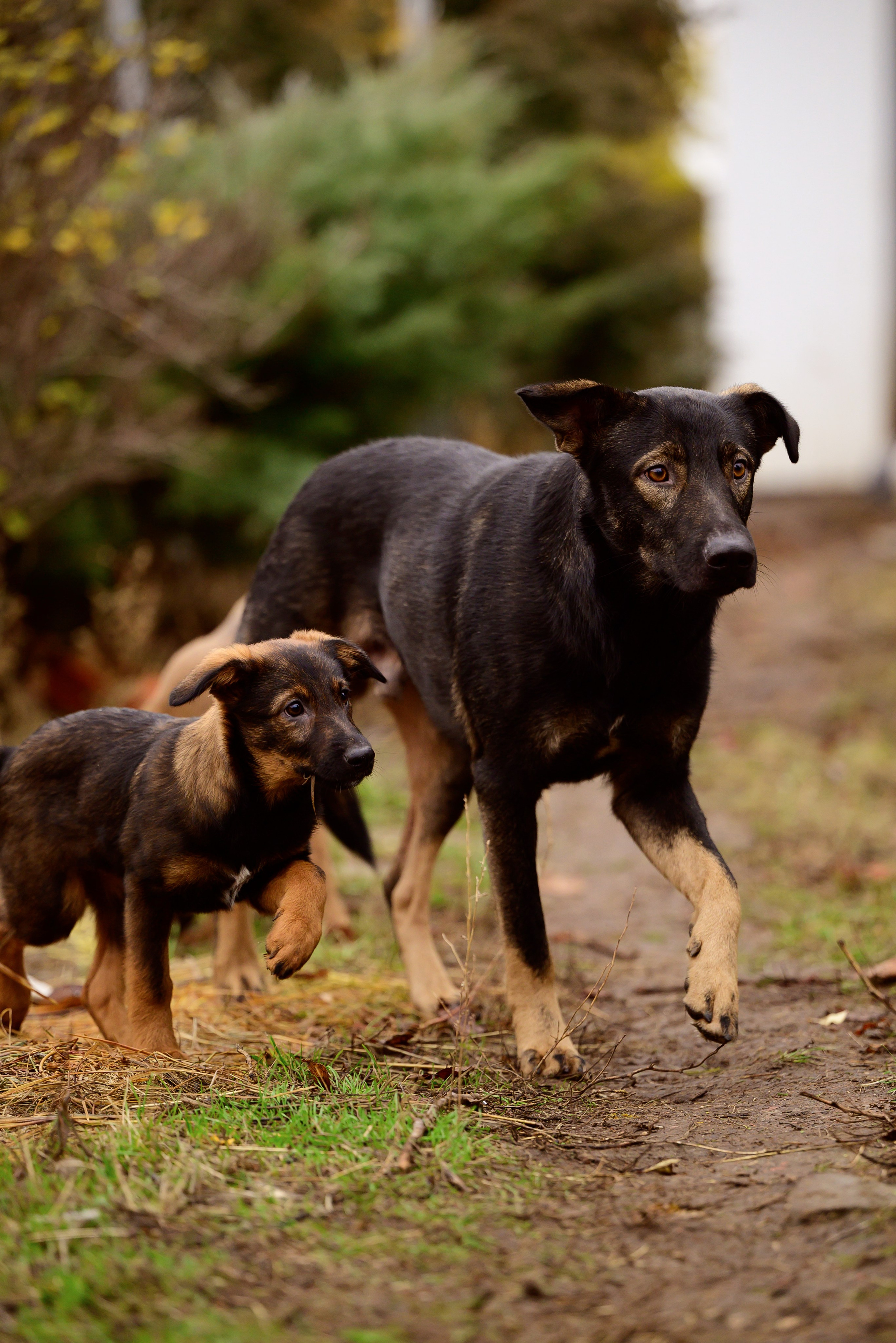 Круассанчики. Мила Астахова