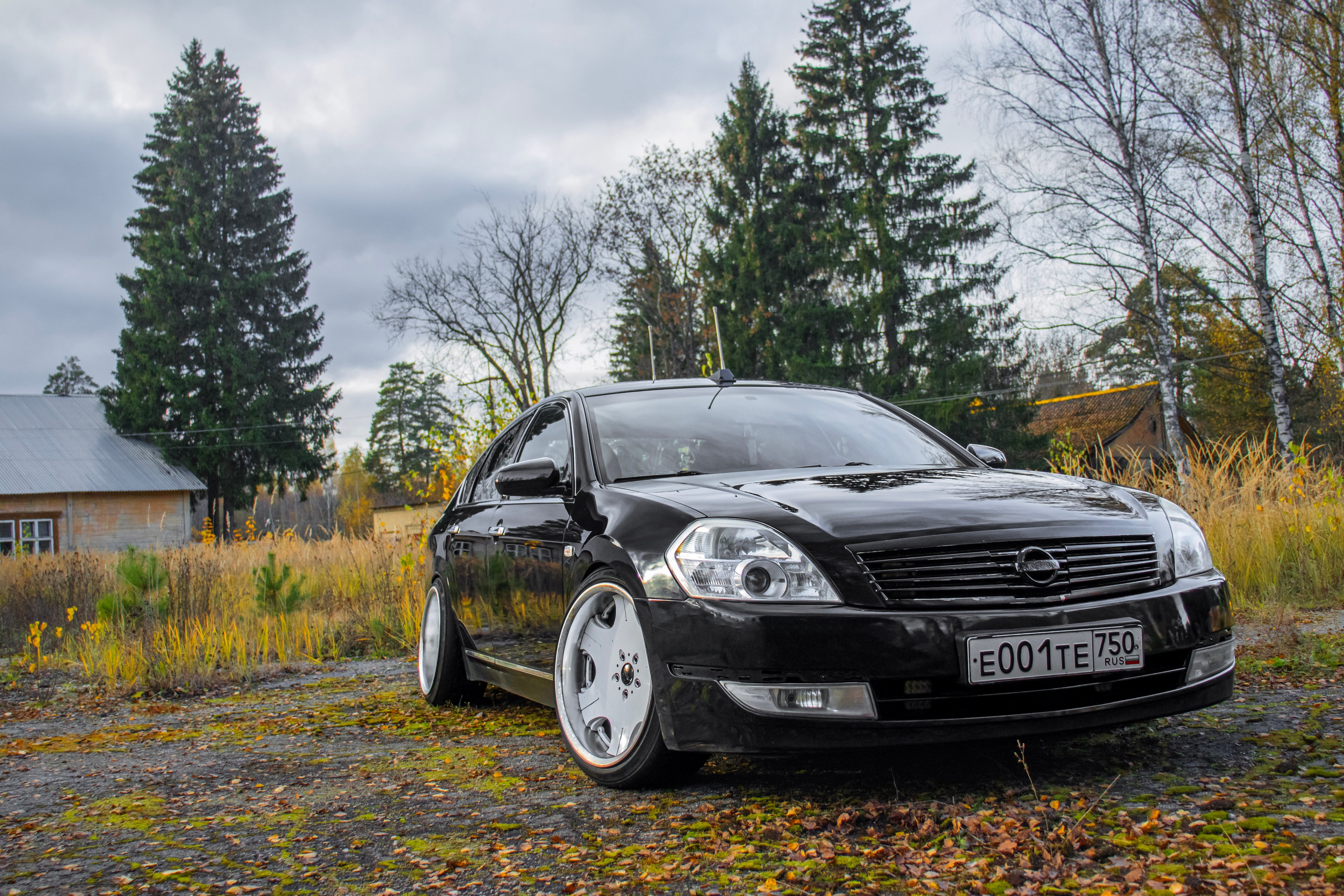 Kia ceed & Nissan Teana J31