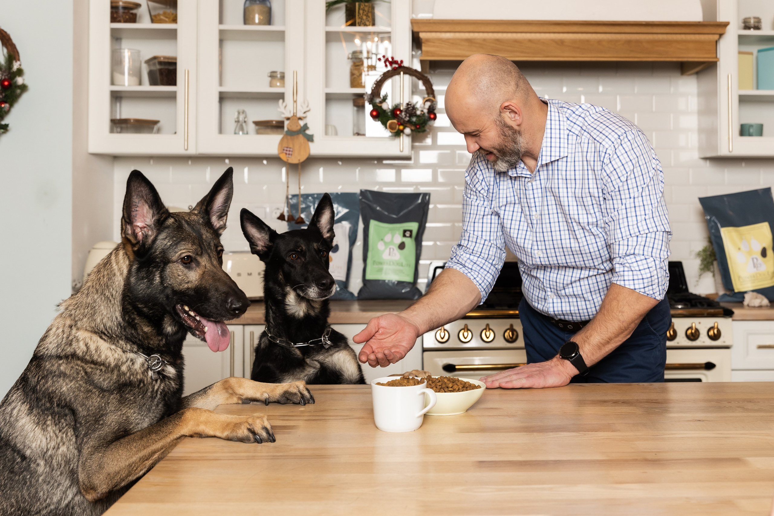 Power Dog Life корм для собак. Фотограф в Санкт-Петербурге