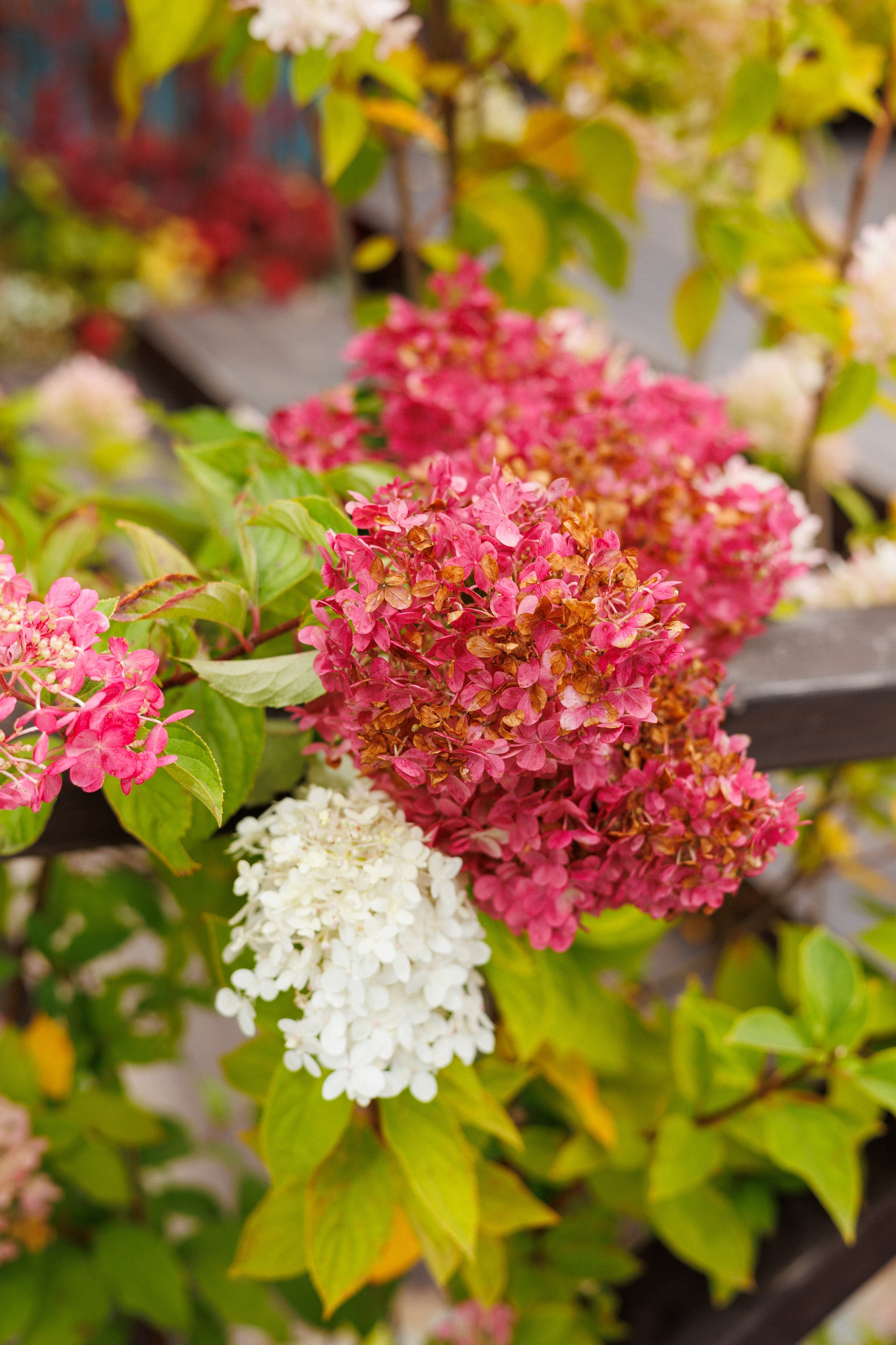 Тимбилдинг в «Улетай». Фотограф Александр Тулупов