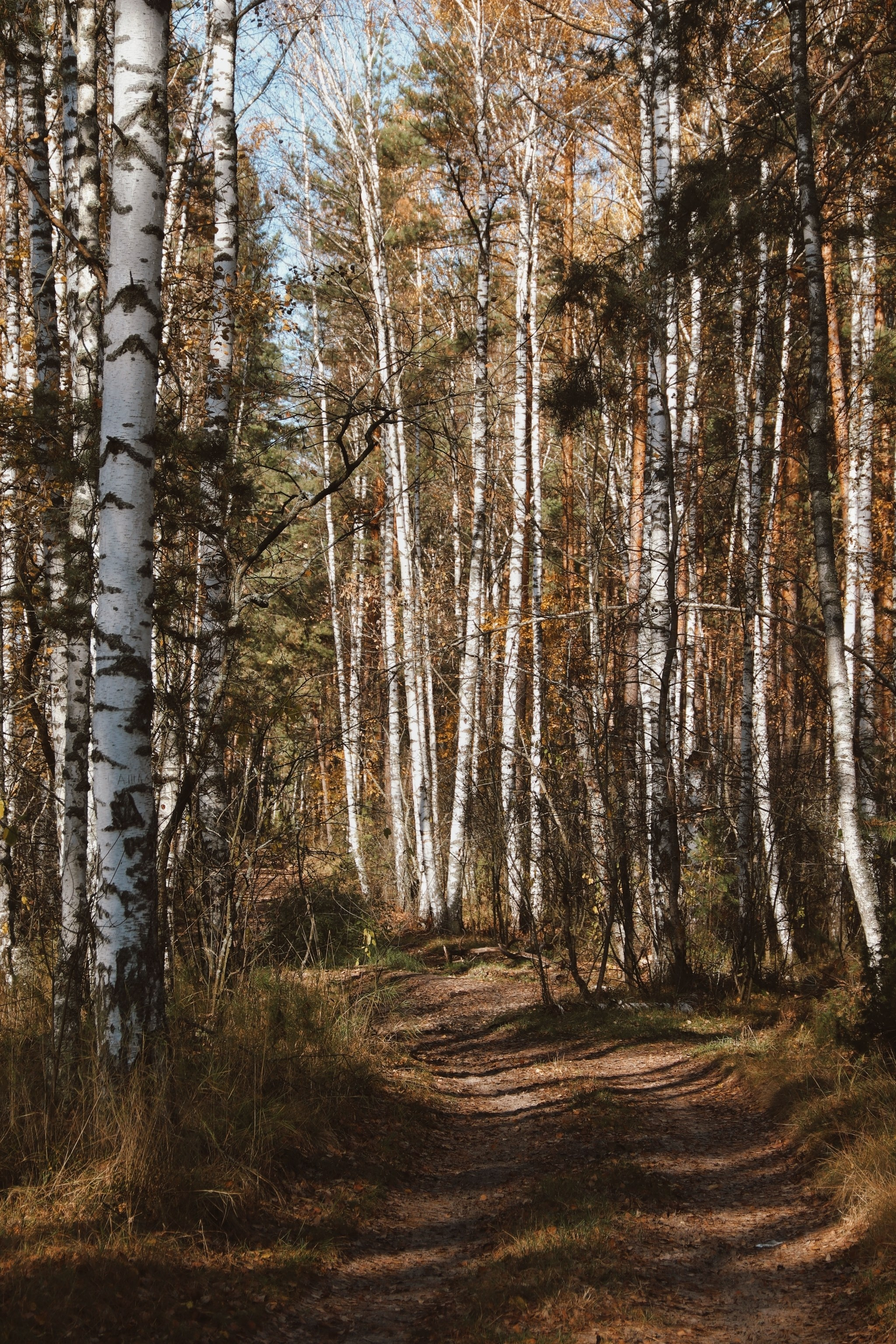 По тропе Паустовского. С любовью, фотохудожник