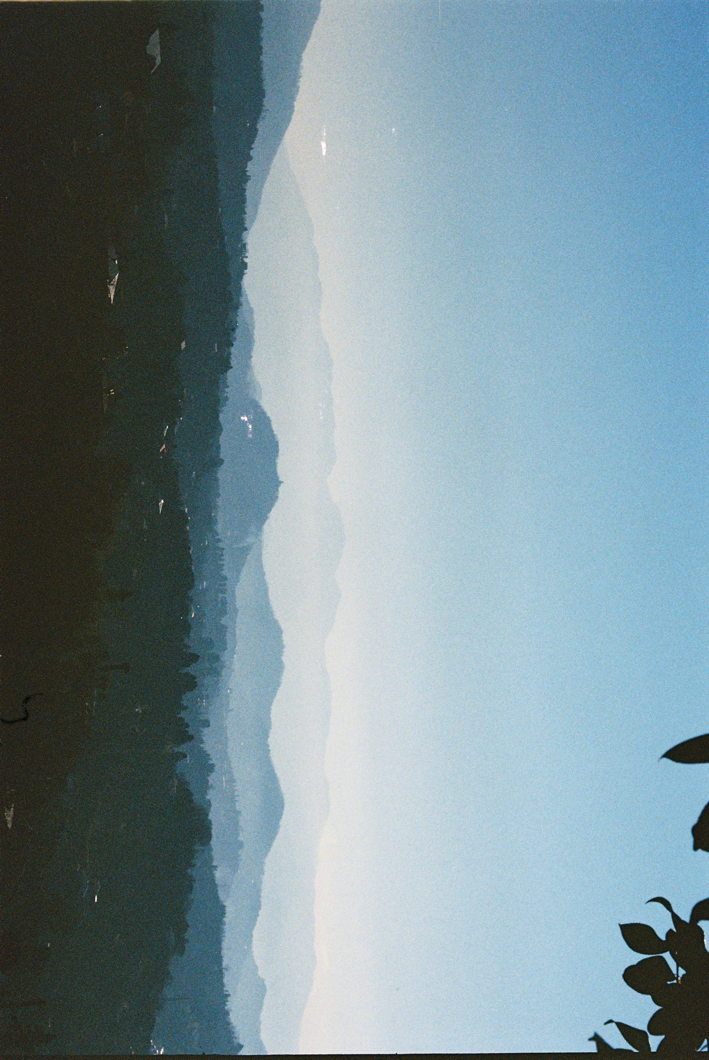 ON THE GO. Сocoobird || Атмосфера твоего бренда в снимках и видео