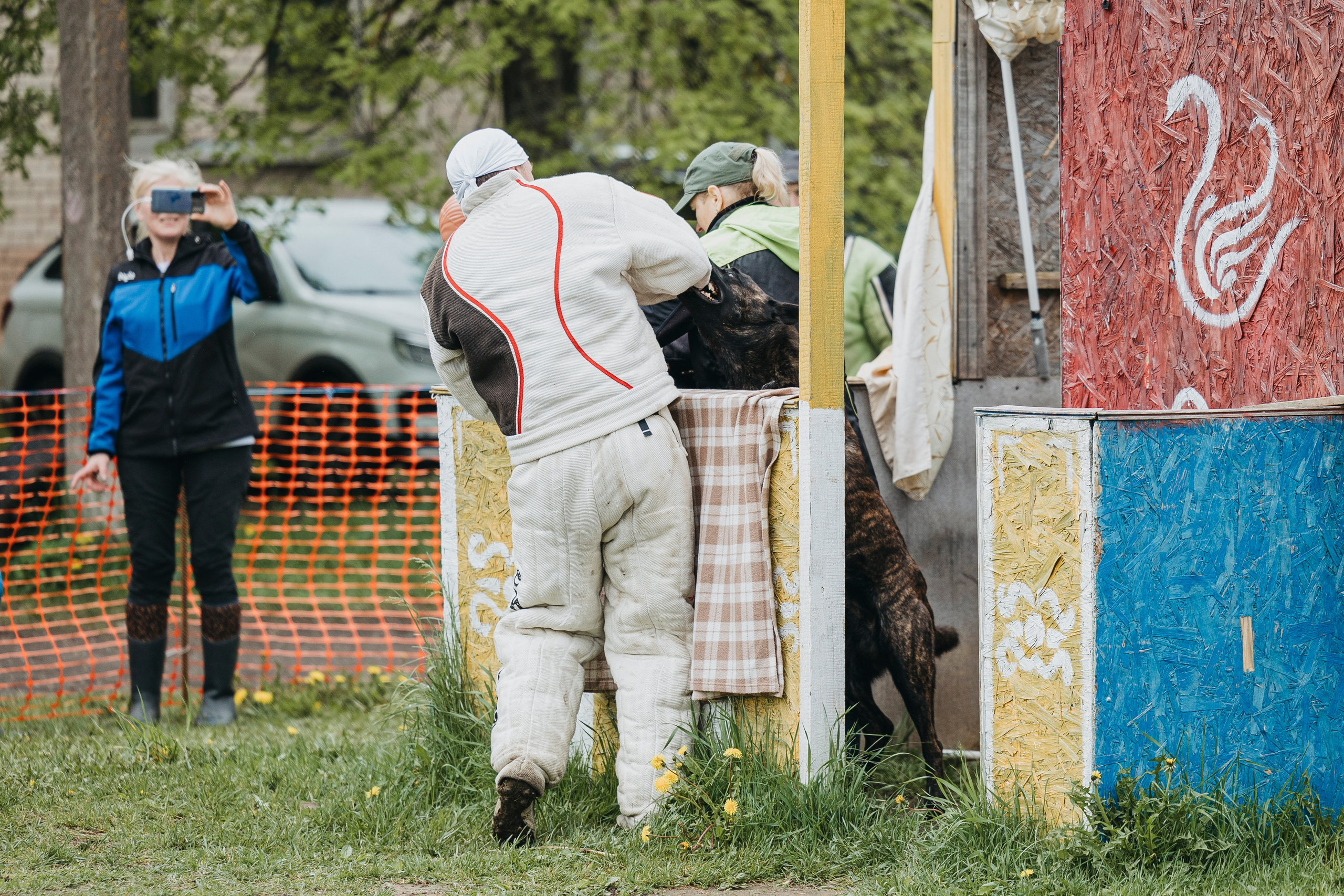 26.05.25 г. Пушкин квалификационные соревнования. Фотограф-анималист Анна Маринич