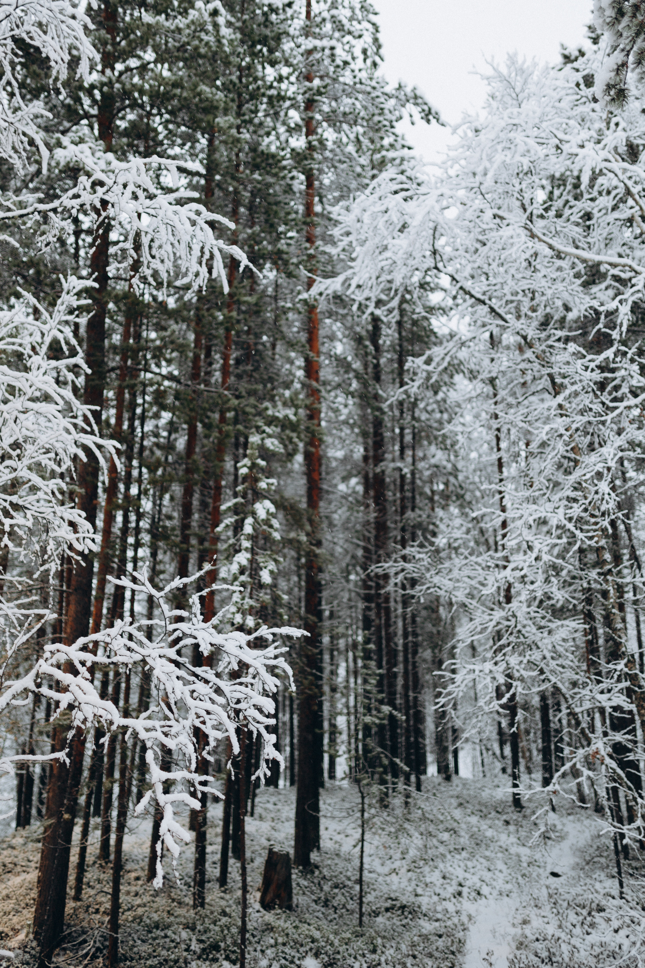 Семейная фотосессия в загородном доме. Фотограф и видеограф в Мурманске, Москве Екатерина Нечаева