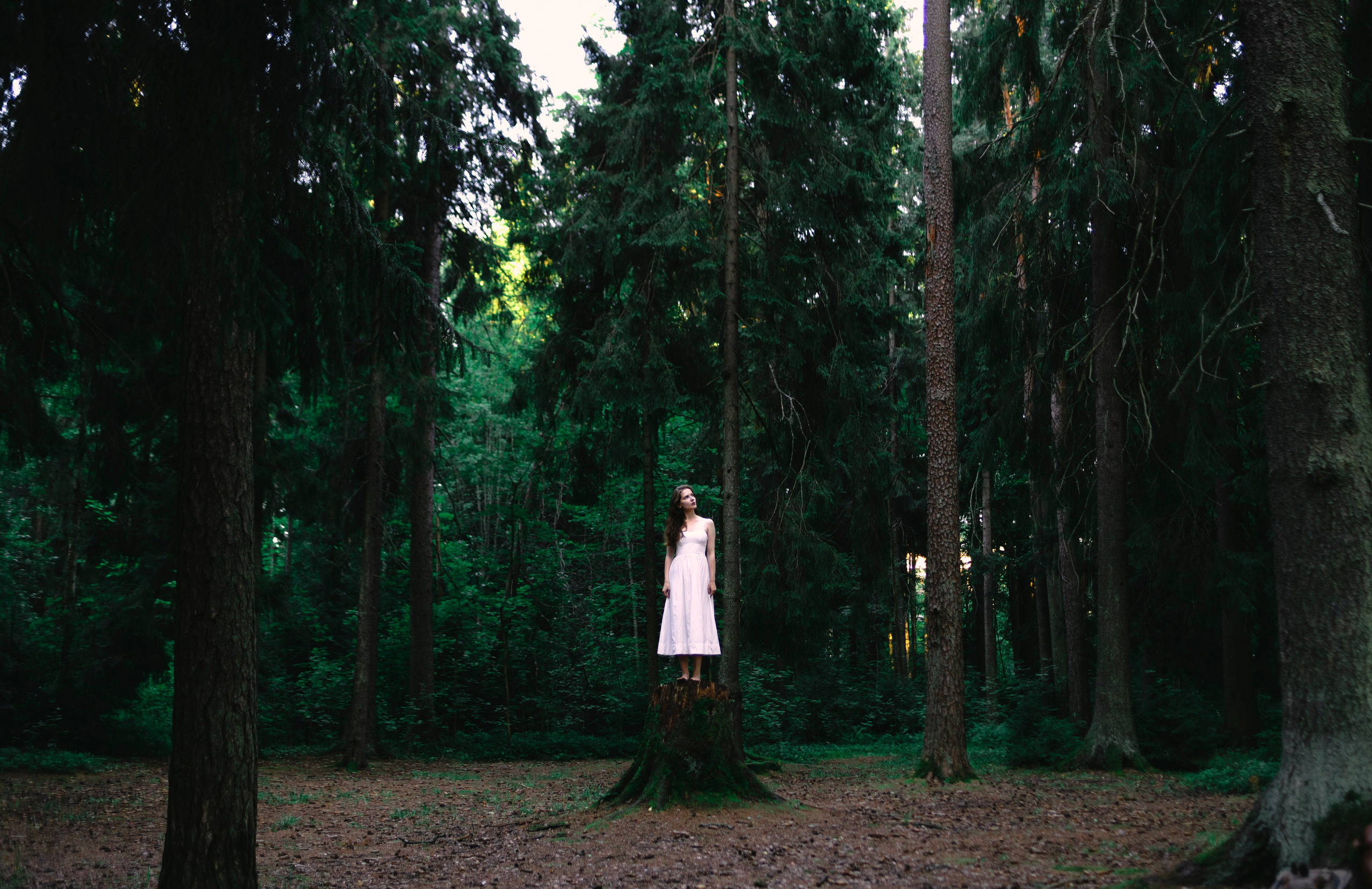 Портфолио. Фотограф Блинова Арина | Санк-Петербург