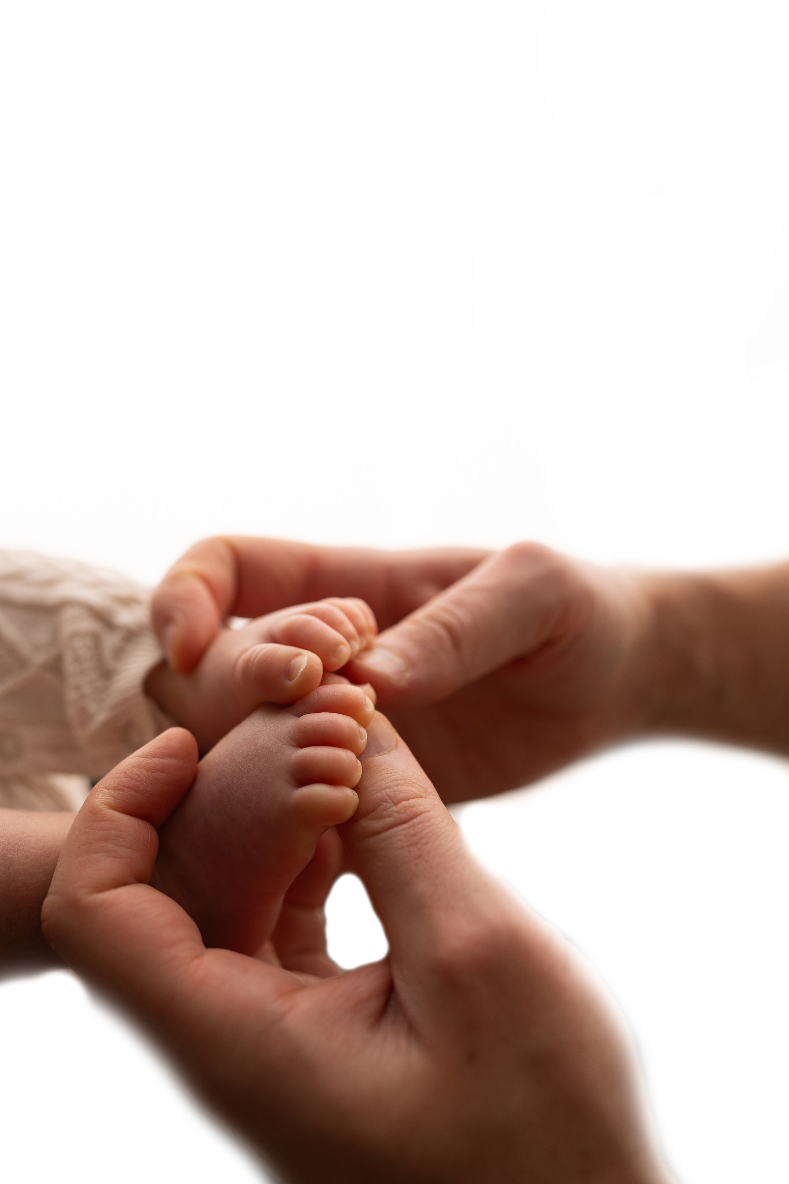 Лев. Лилия Алтухова — фотограф новорожденных в Москве и области