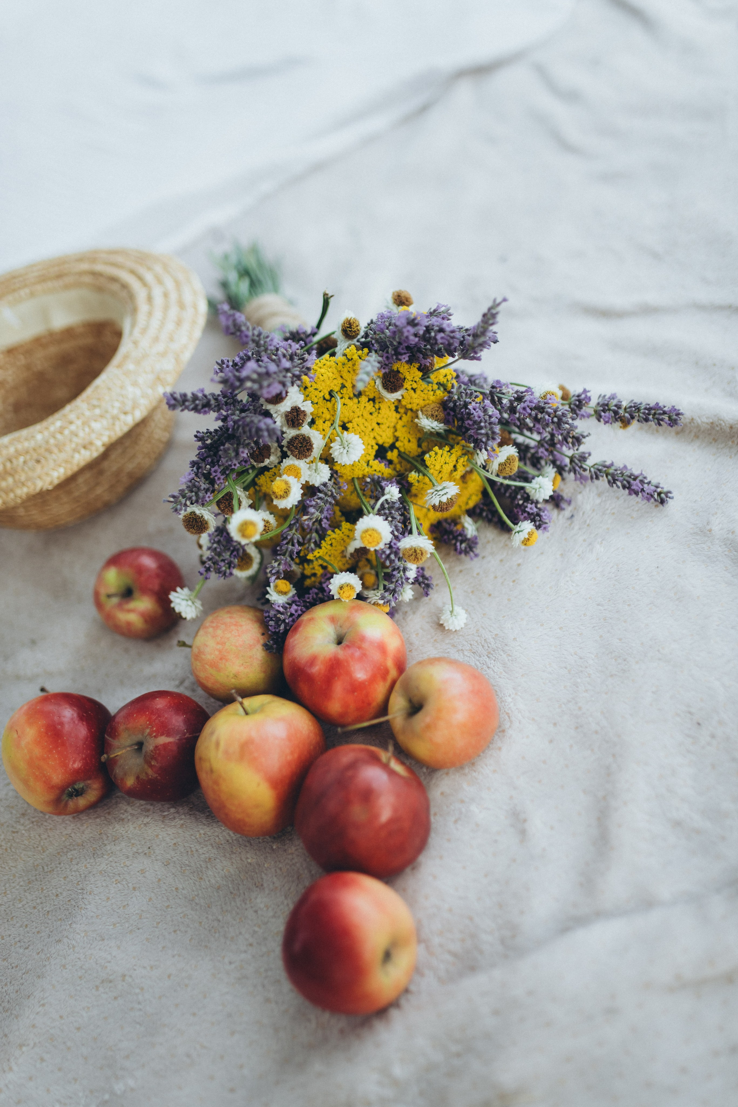 Домашняя семейная фотосессия пикник в Сочи. Фотограф в Сочи — Маргарита Поганова