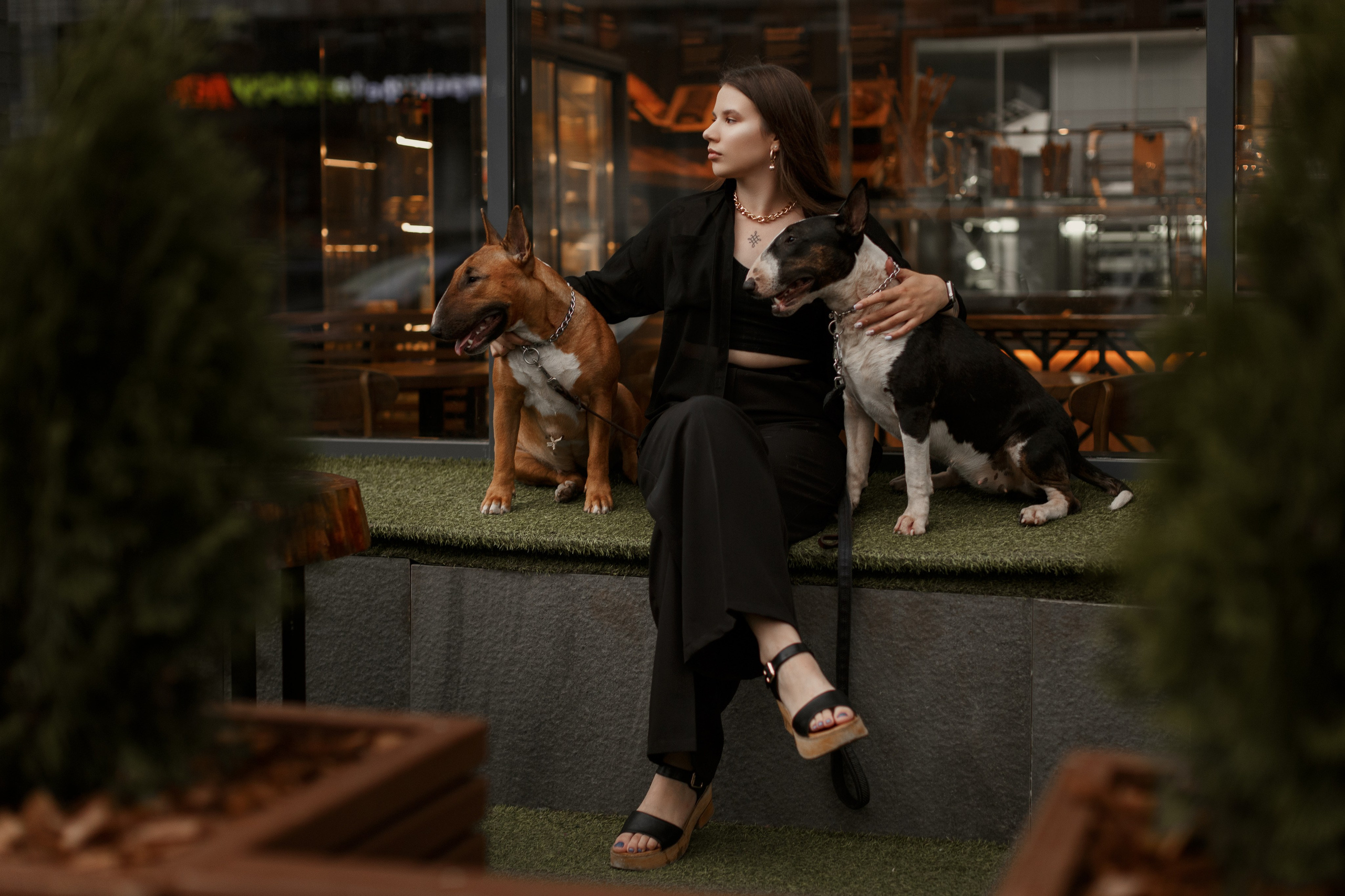 Фотосессии с вашими любимцами. Фотограф Артемьева Катерина|фотосессии с лошадьми