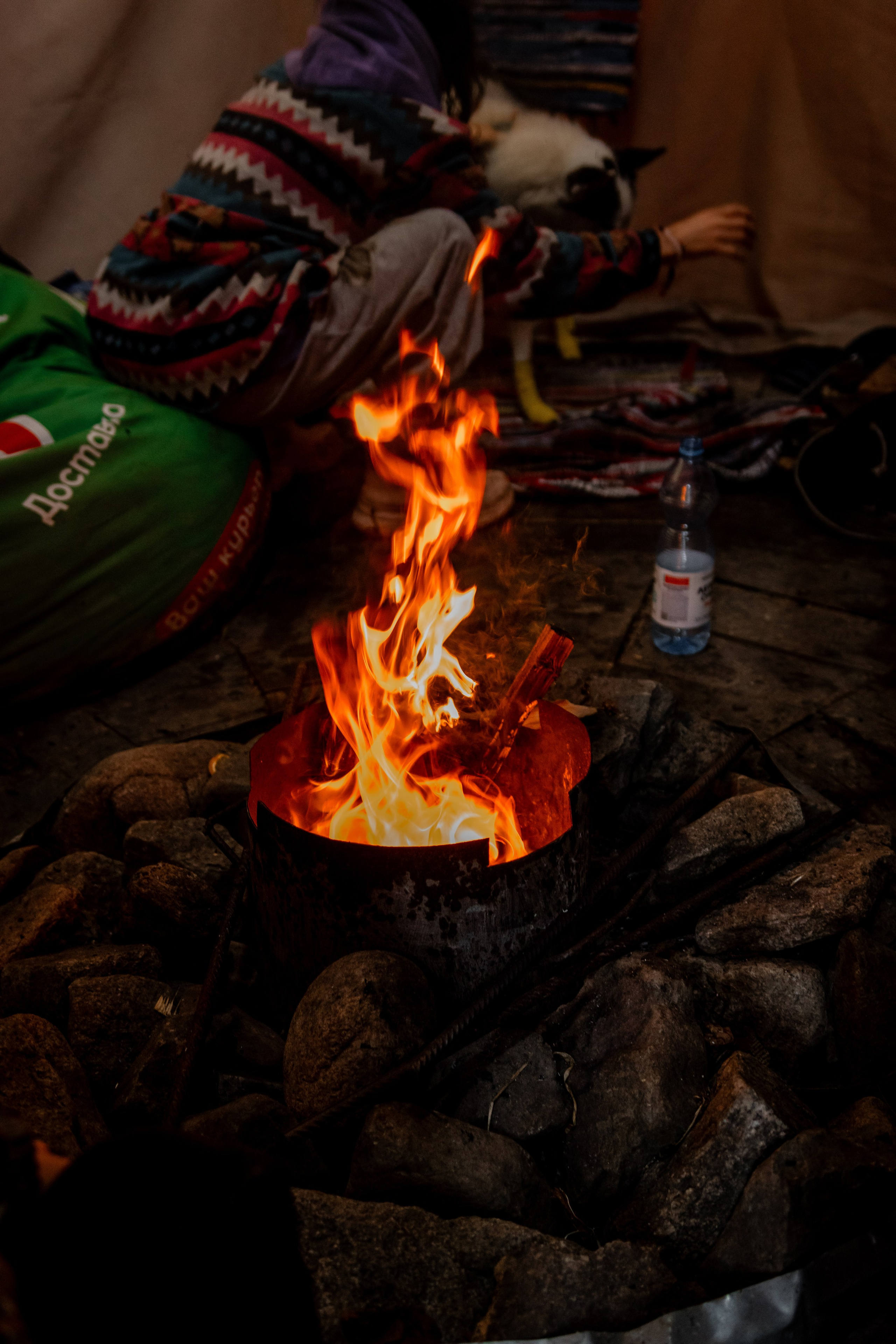 Дог-треккинг