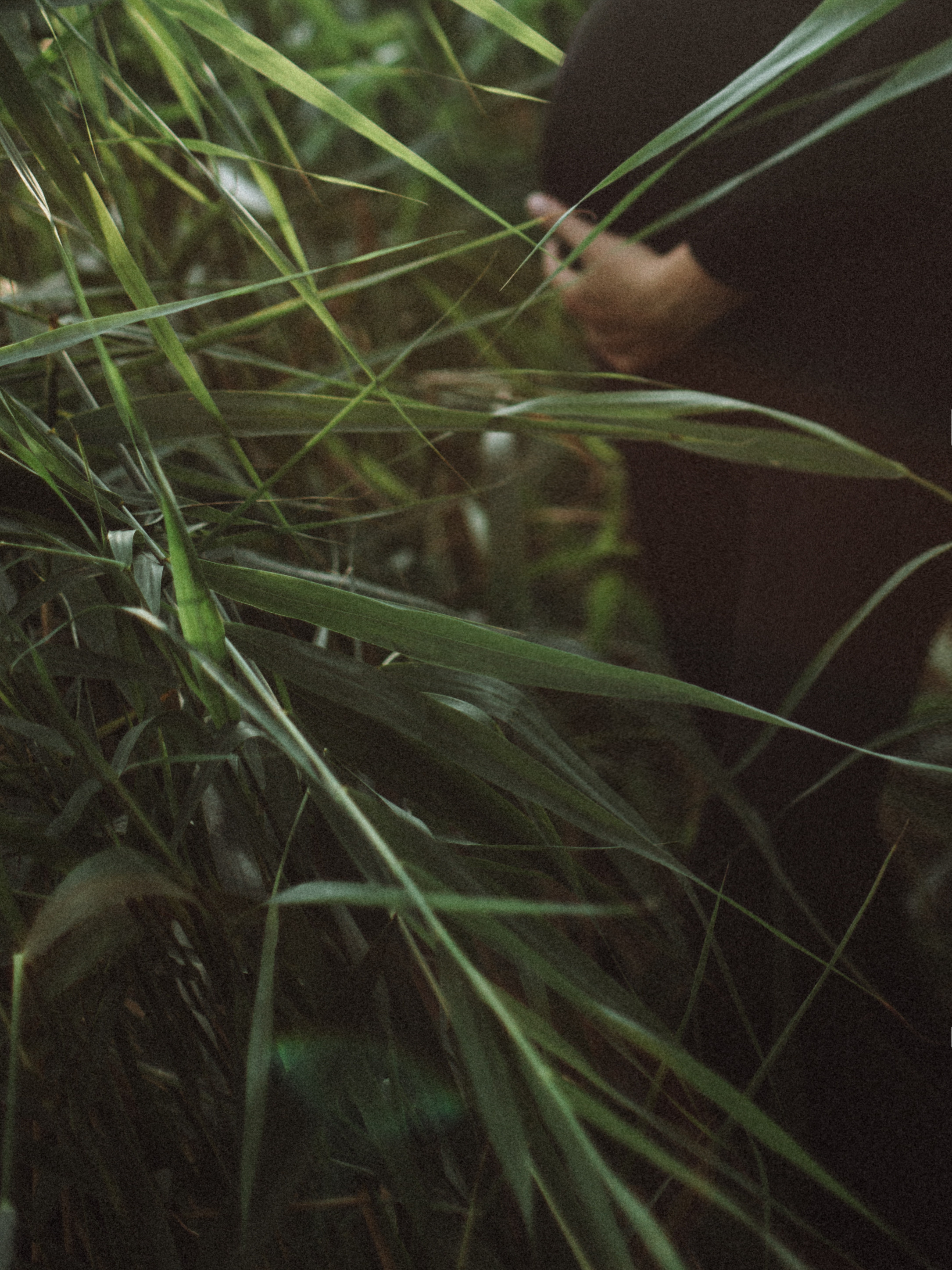 Иришка. Света Полетаева Москва