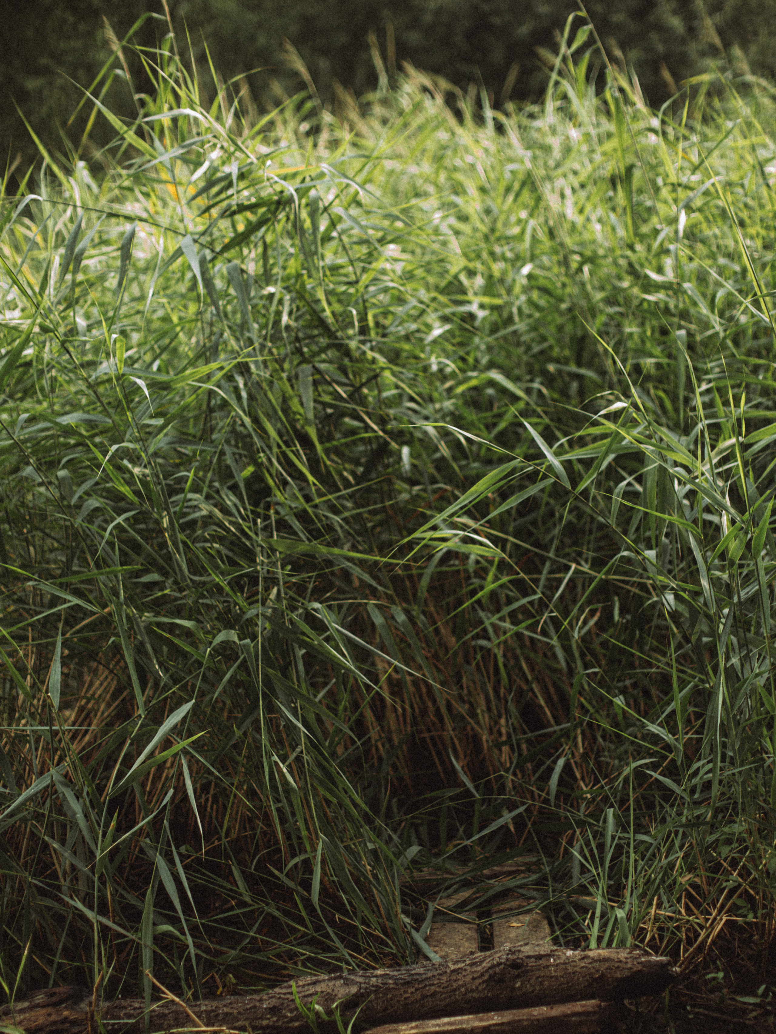 Ты красивая!. Света Полетаева Москва