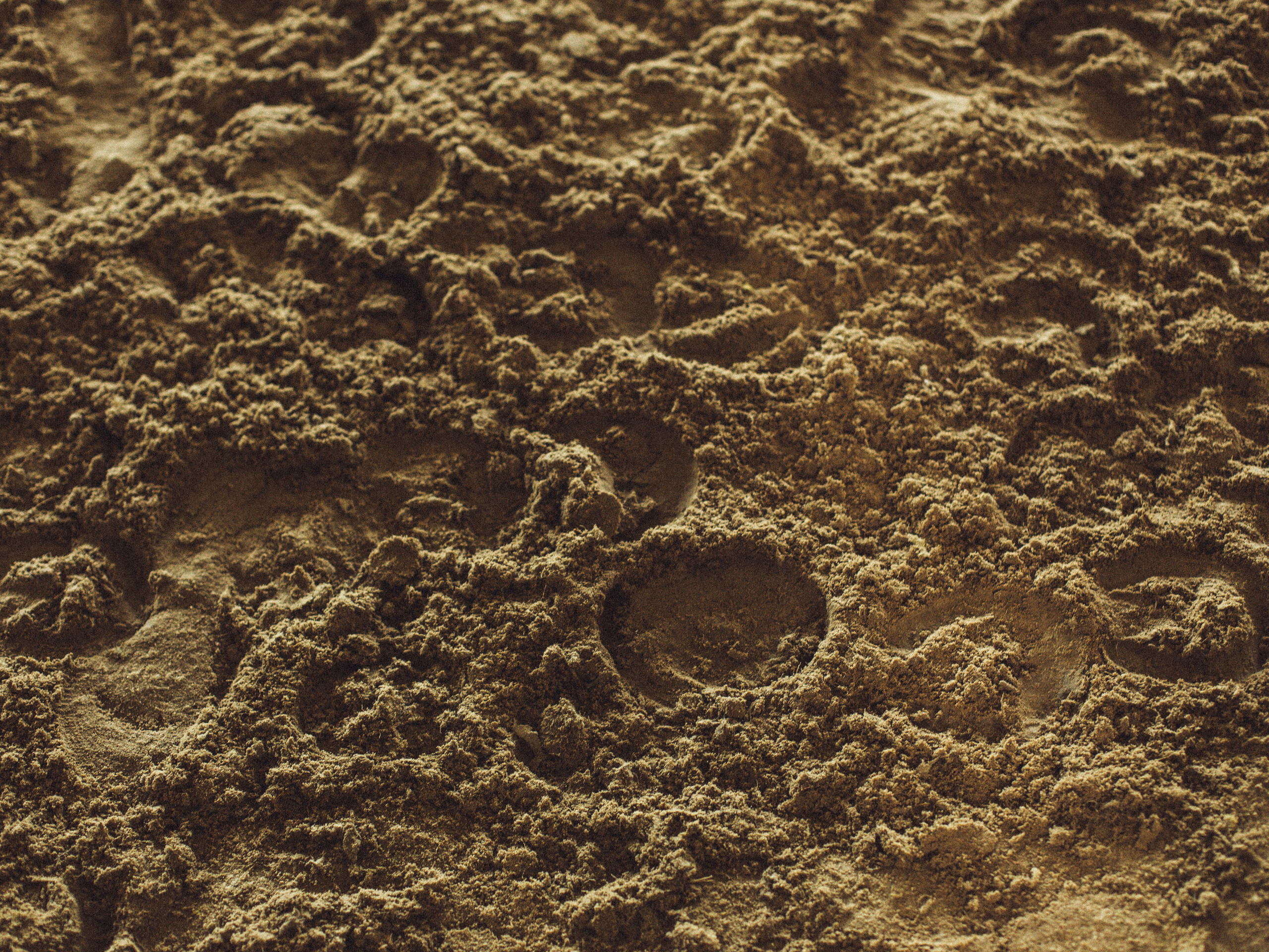 RUSSIAN MINI CUP — турнир маленьких спортсменов. Света Полетаева Москва