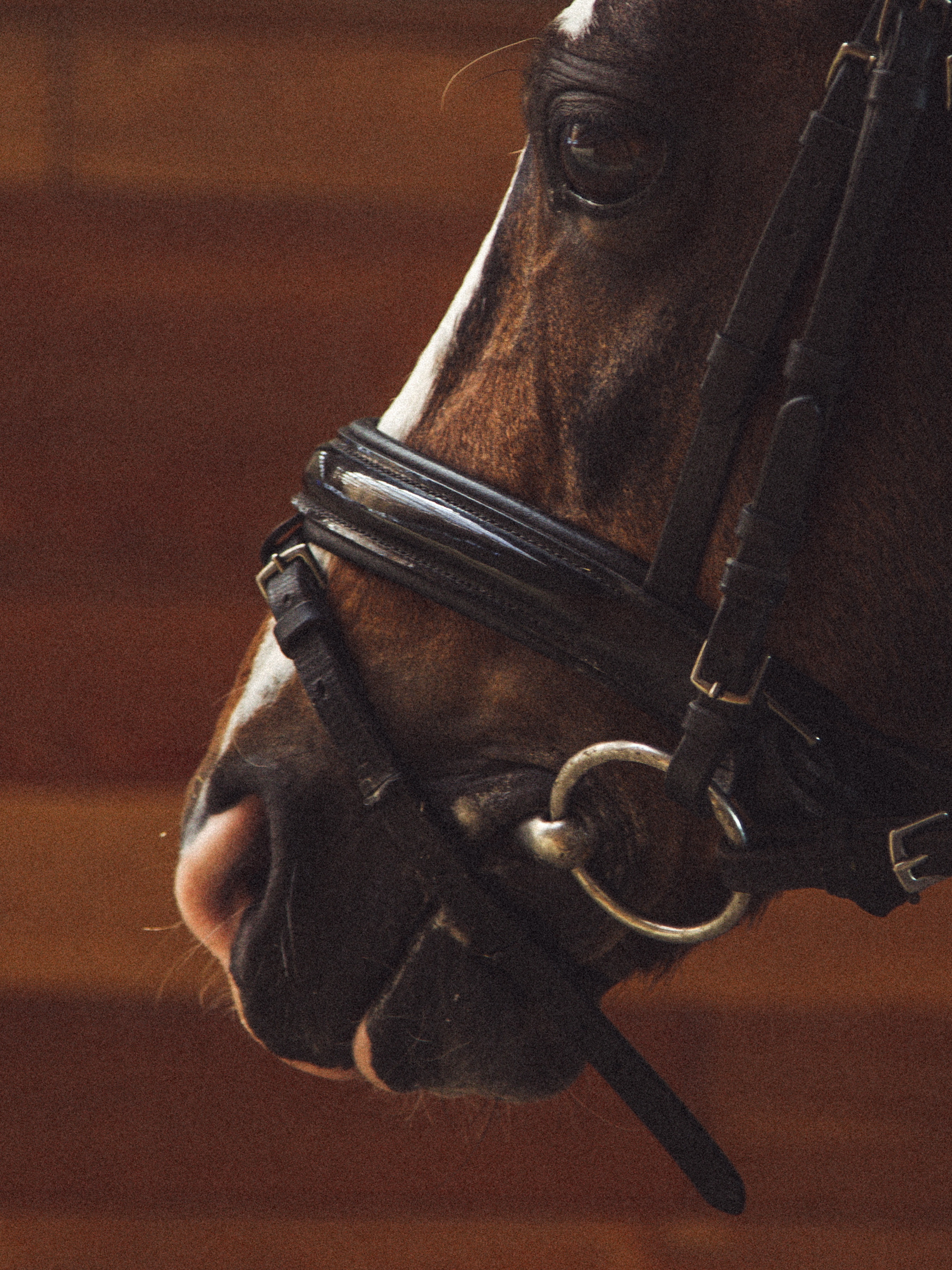 RUSSIAN MINI CUP — турнир маленьких спортсменов. Света Полетаева Москва