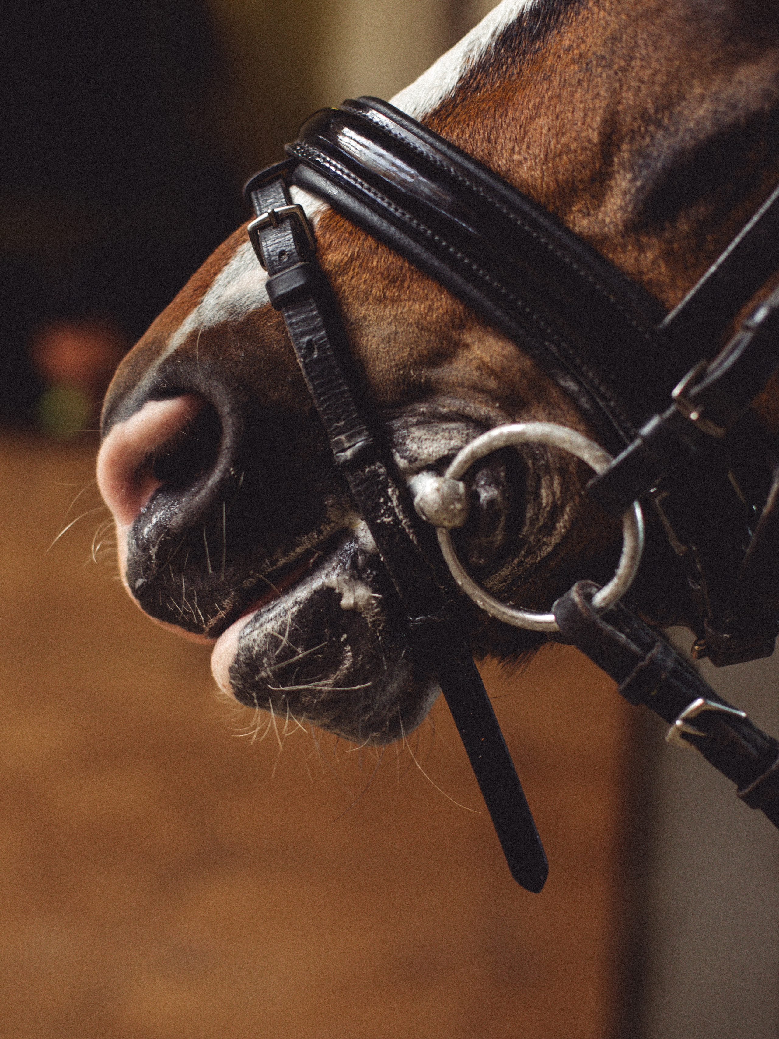 RUSSIAN MINI CUP — турнир маленьких спортсменов. Света Полетаева Москва