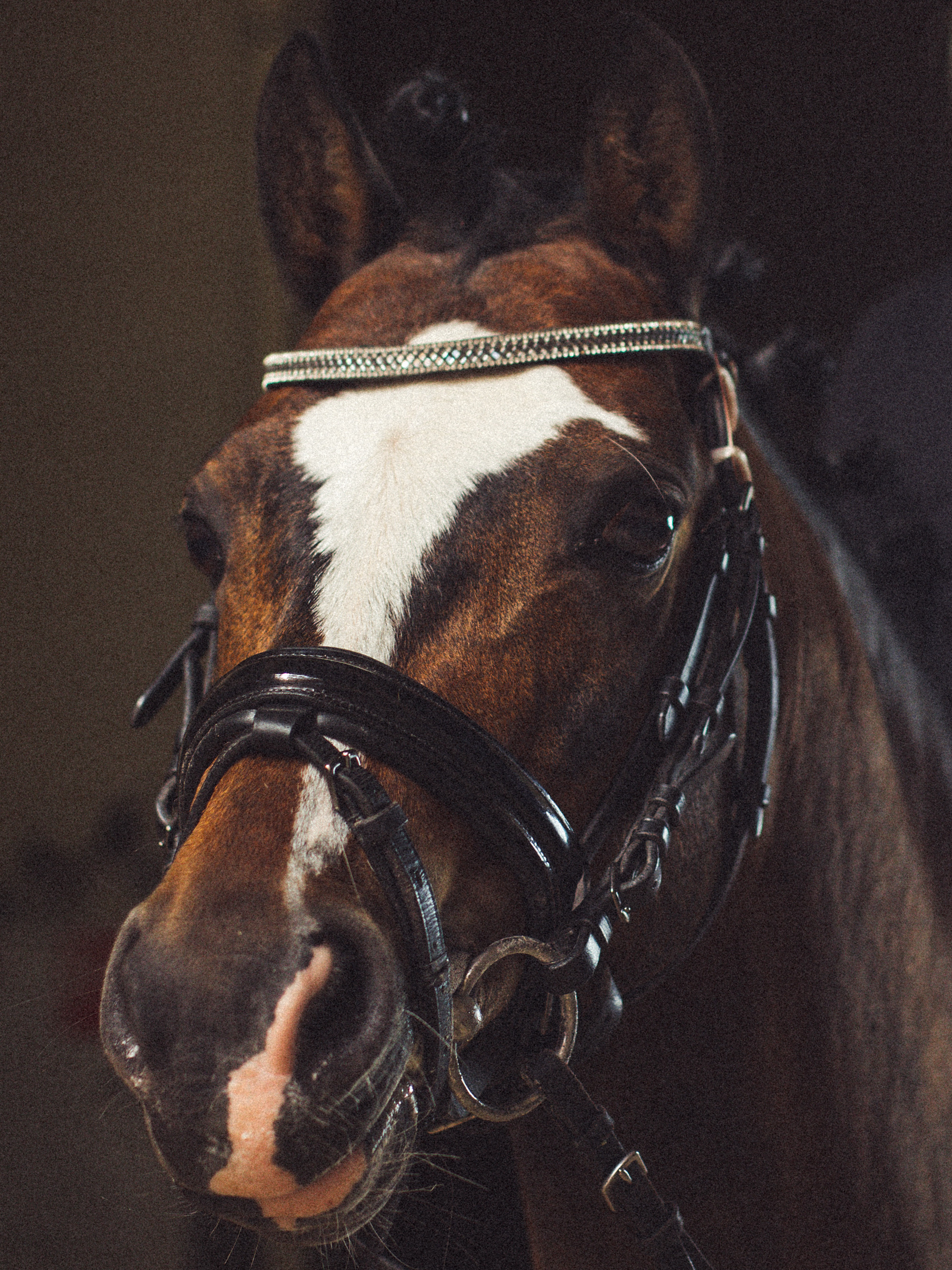 RUSSIAN MINI CUP — турнир маленьких спортсменов. Света Полетаева Москва