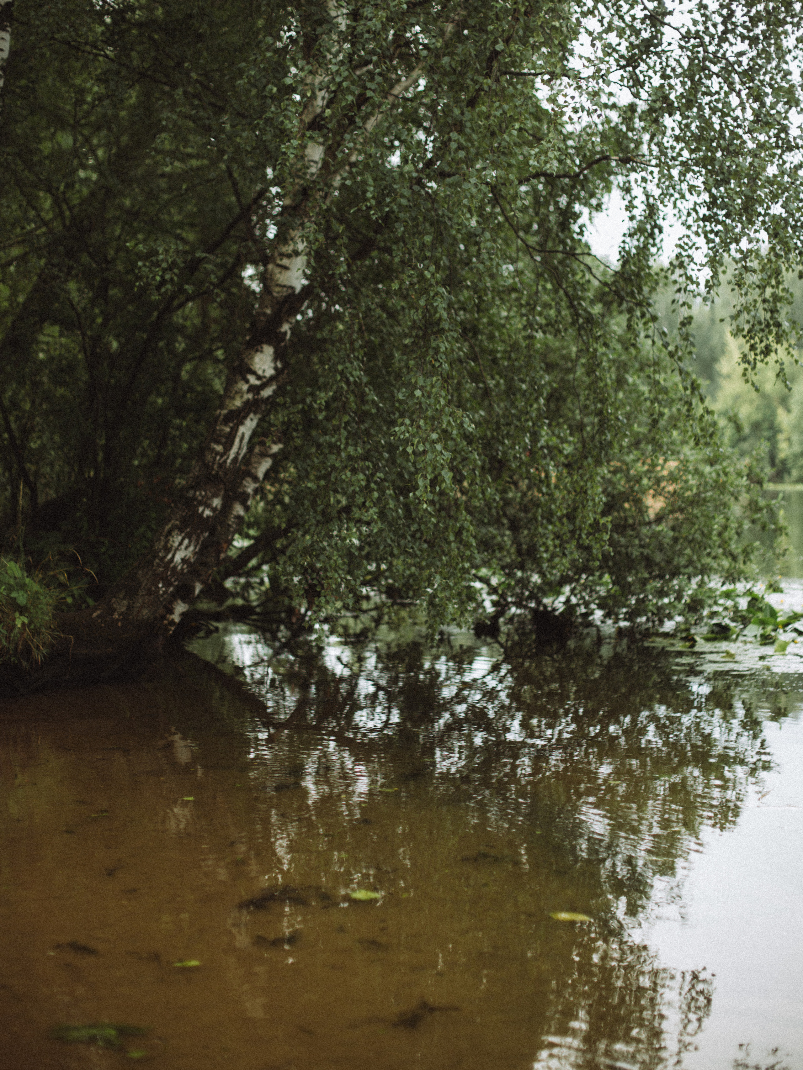 Ты красивая!. Света Полетаева Москва