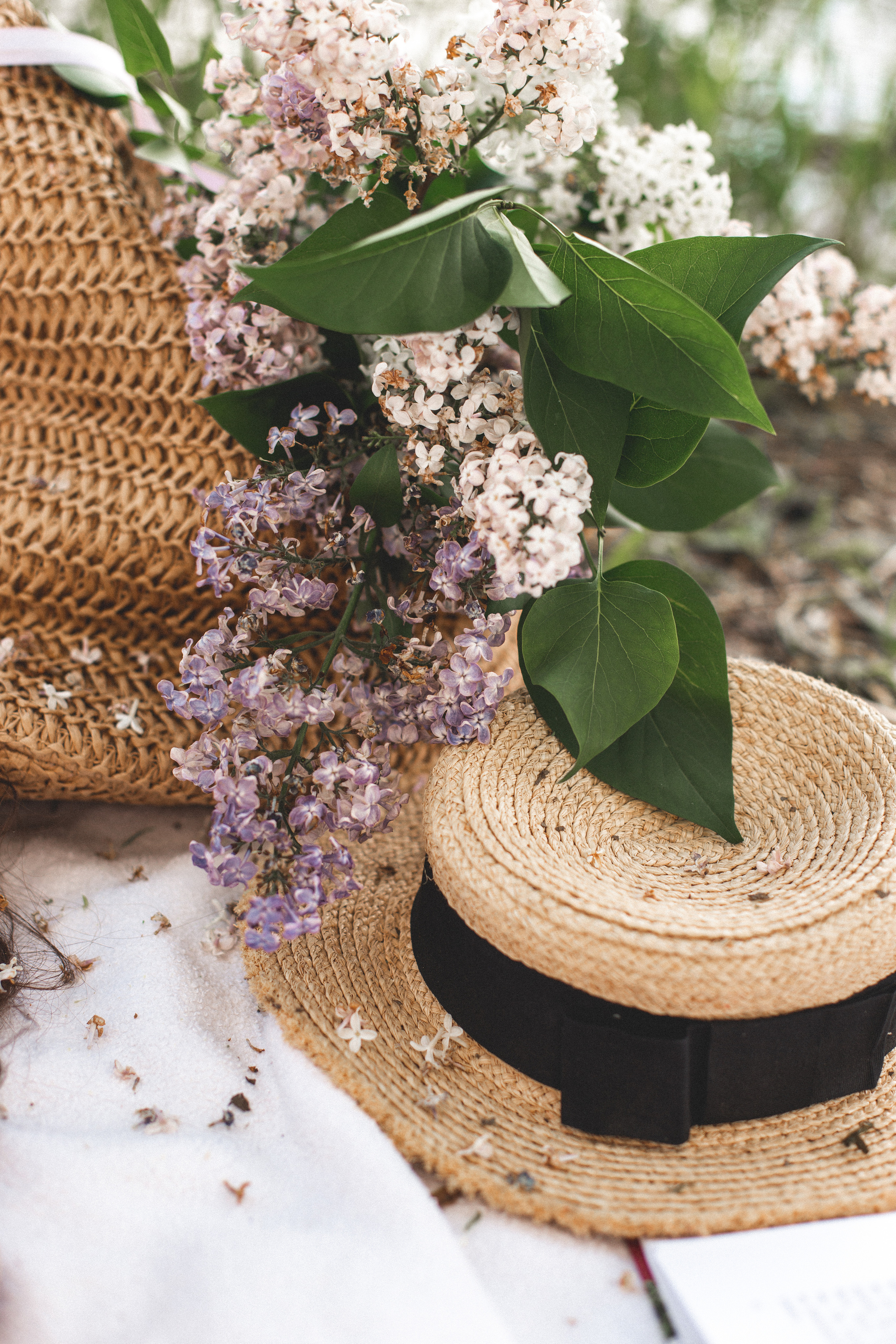 Алина. Света Полетаева Москва