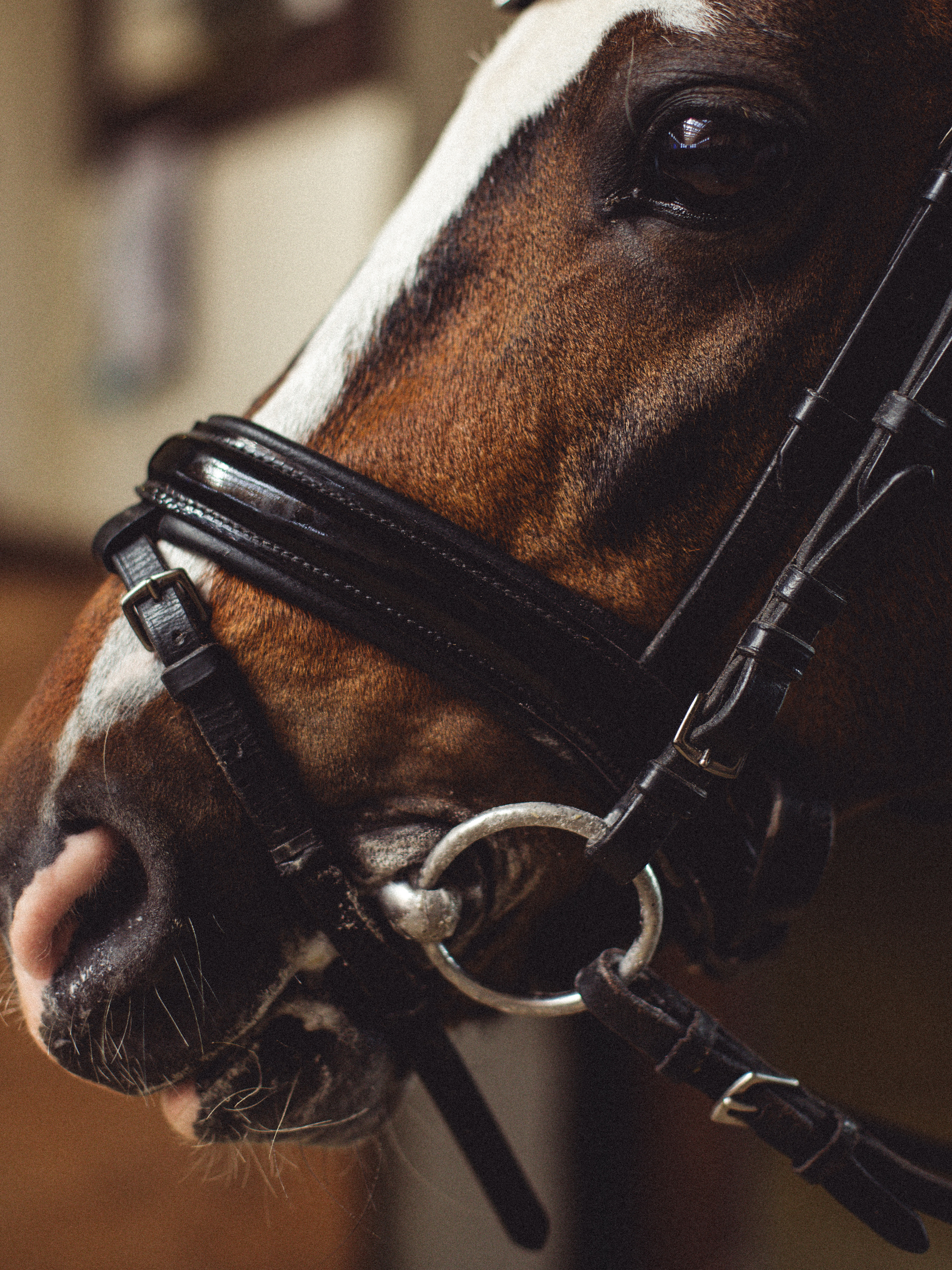 RUSSIAN MINI CUP — турнир маленьких спортсменов. Света Полетаева Москва