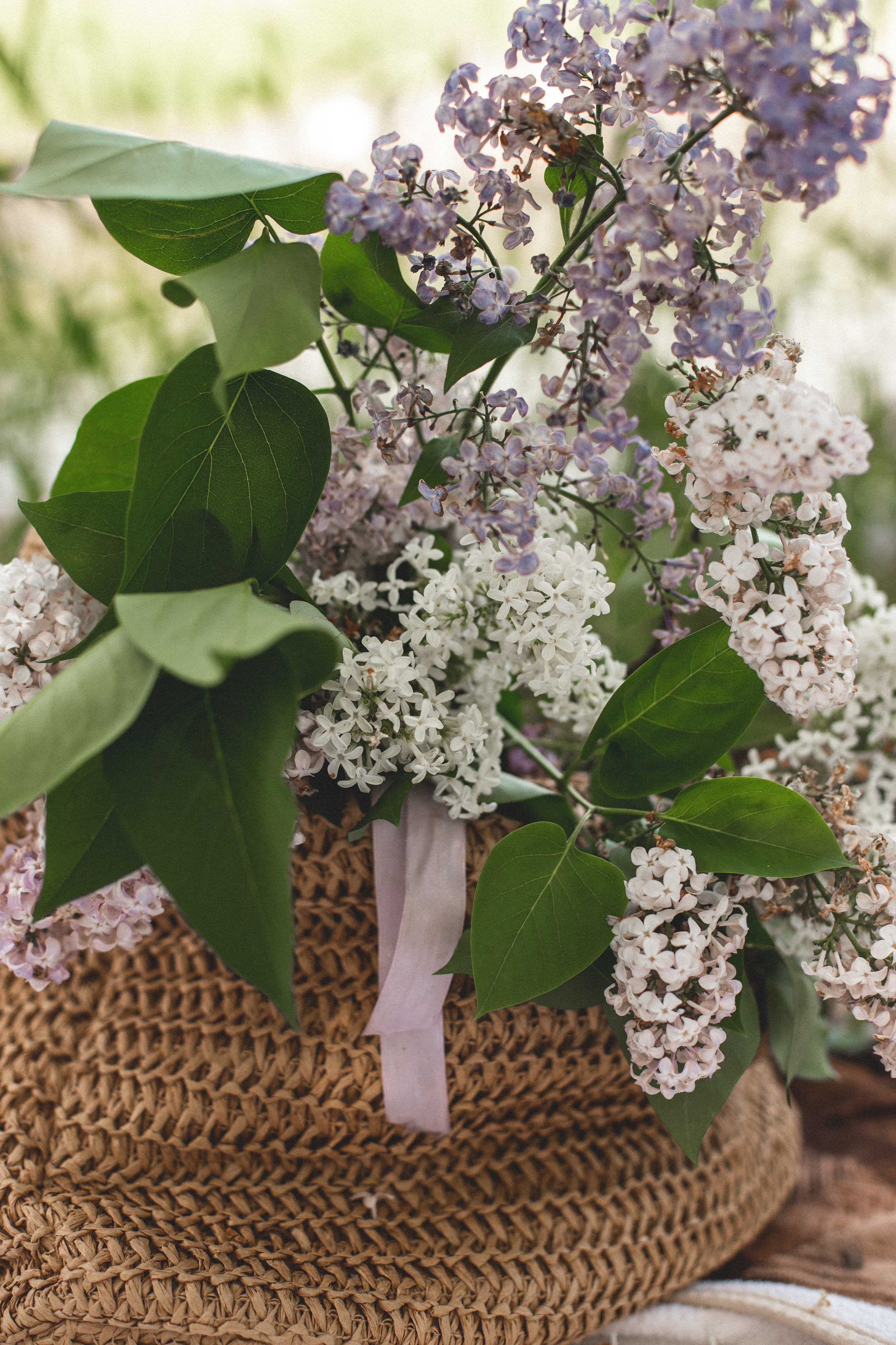 Алина. Света Полетаева Москва
