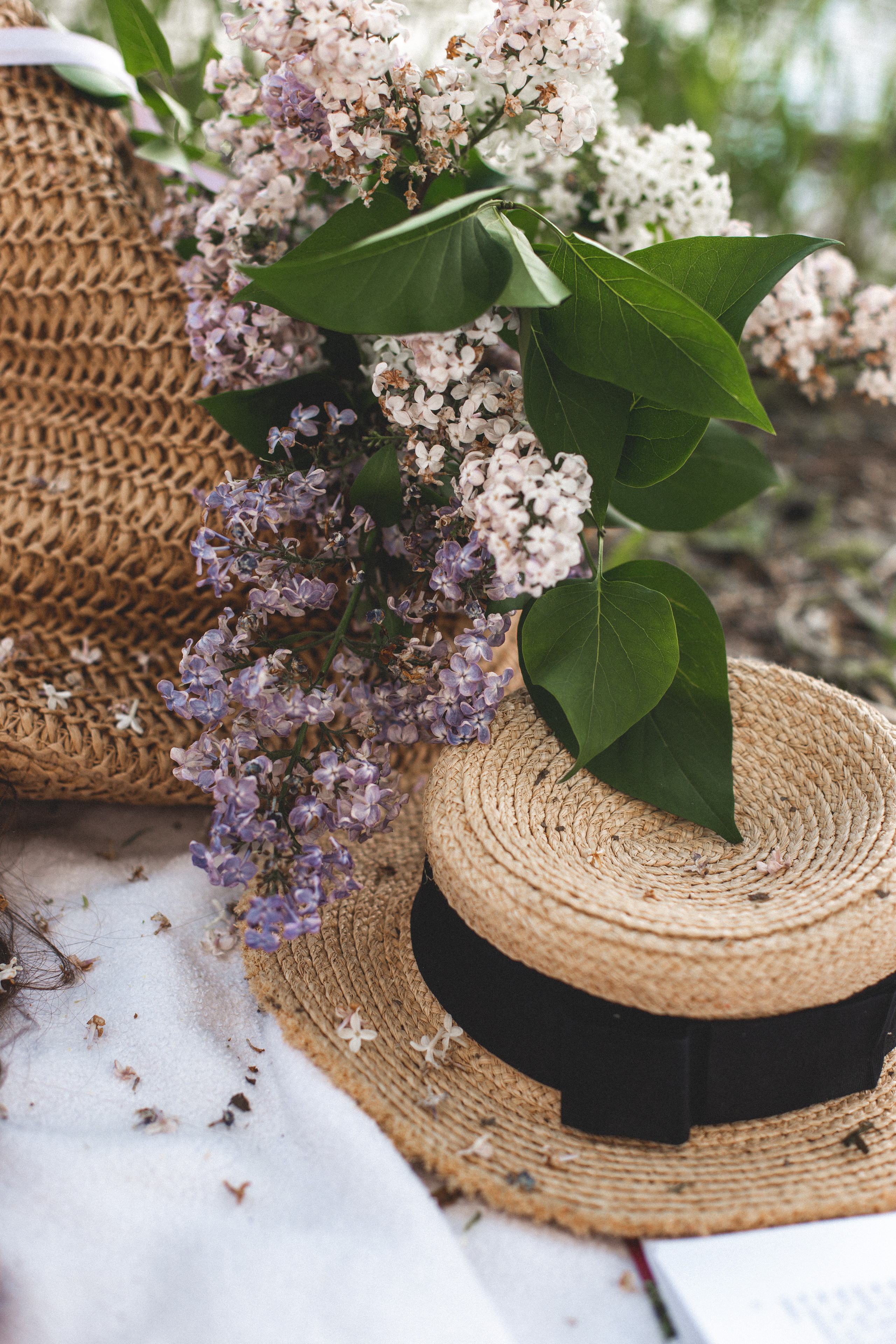 Летние качели. Света Полетаева Москва