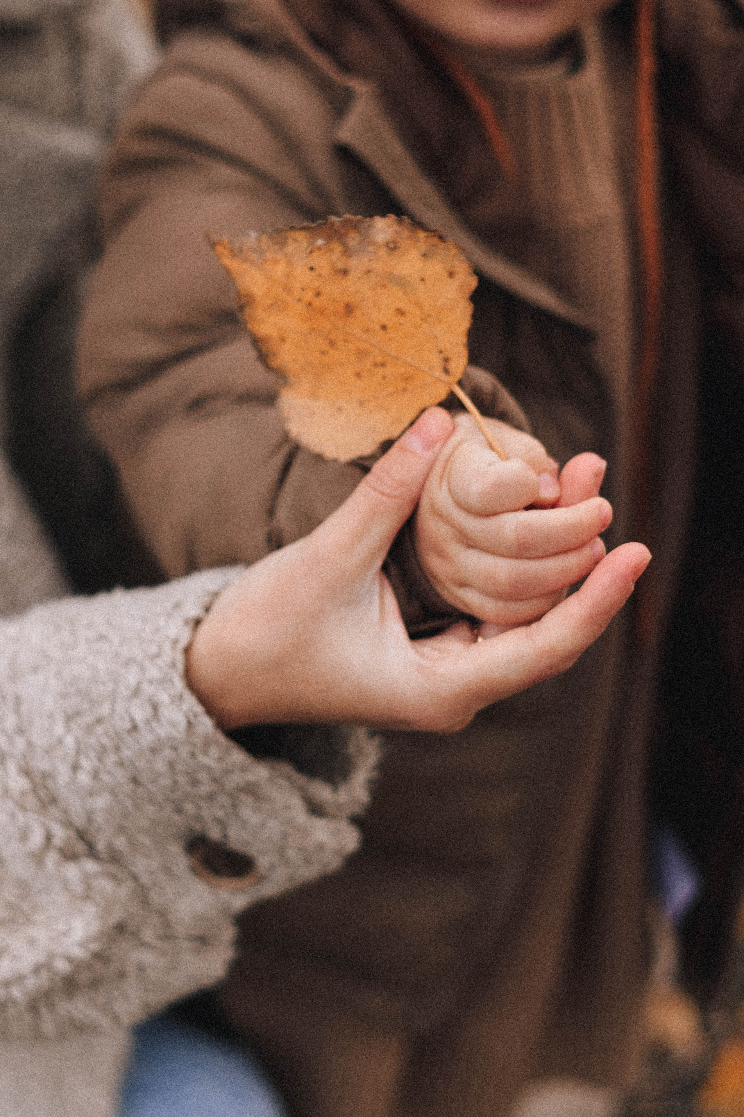 Настя и Саша. Фотограф в Краснодаре Ксения Мархинина