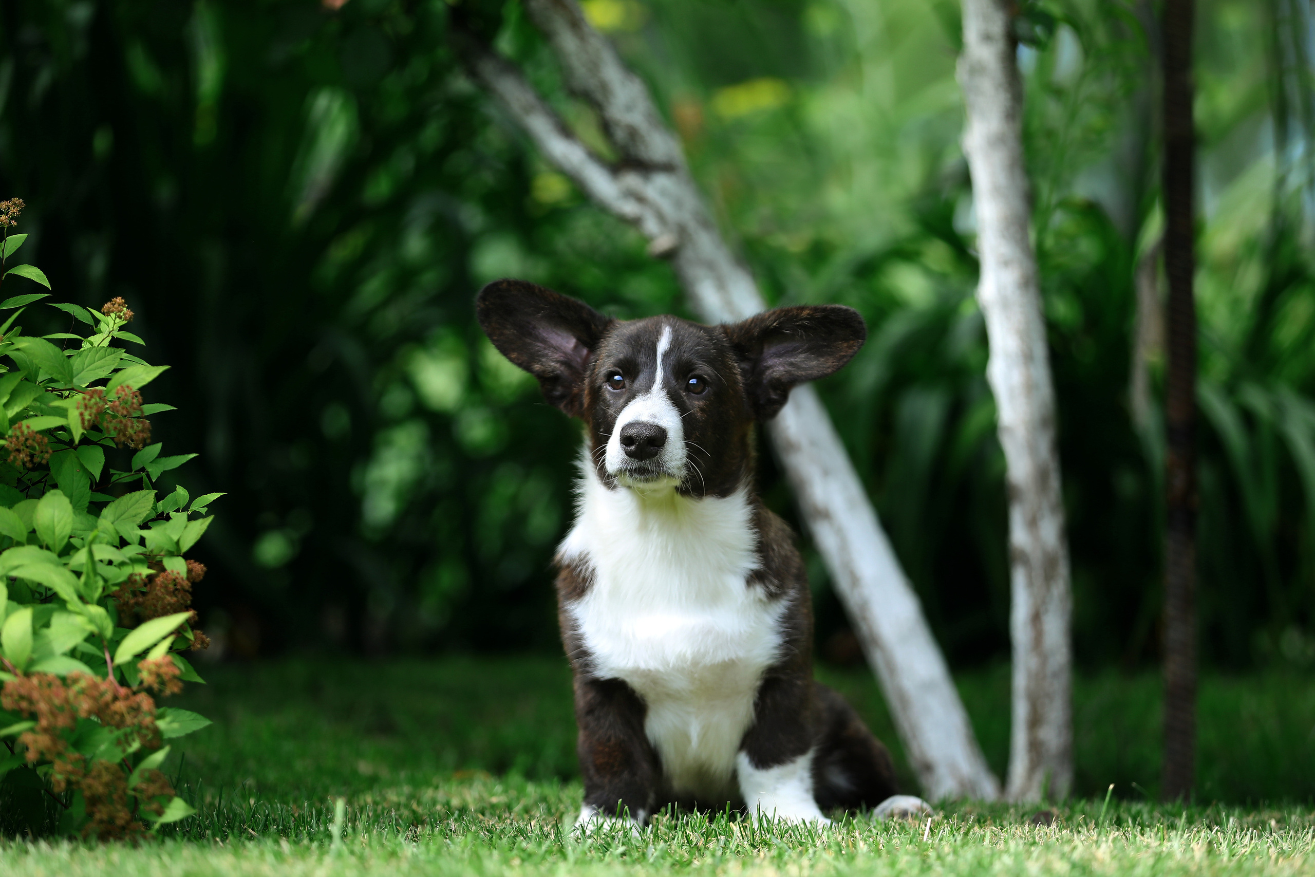 Кардиган. Фотограф Дмитрий Бородин