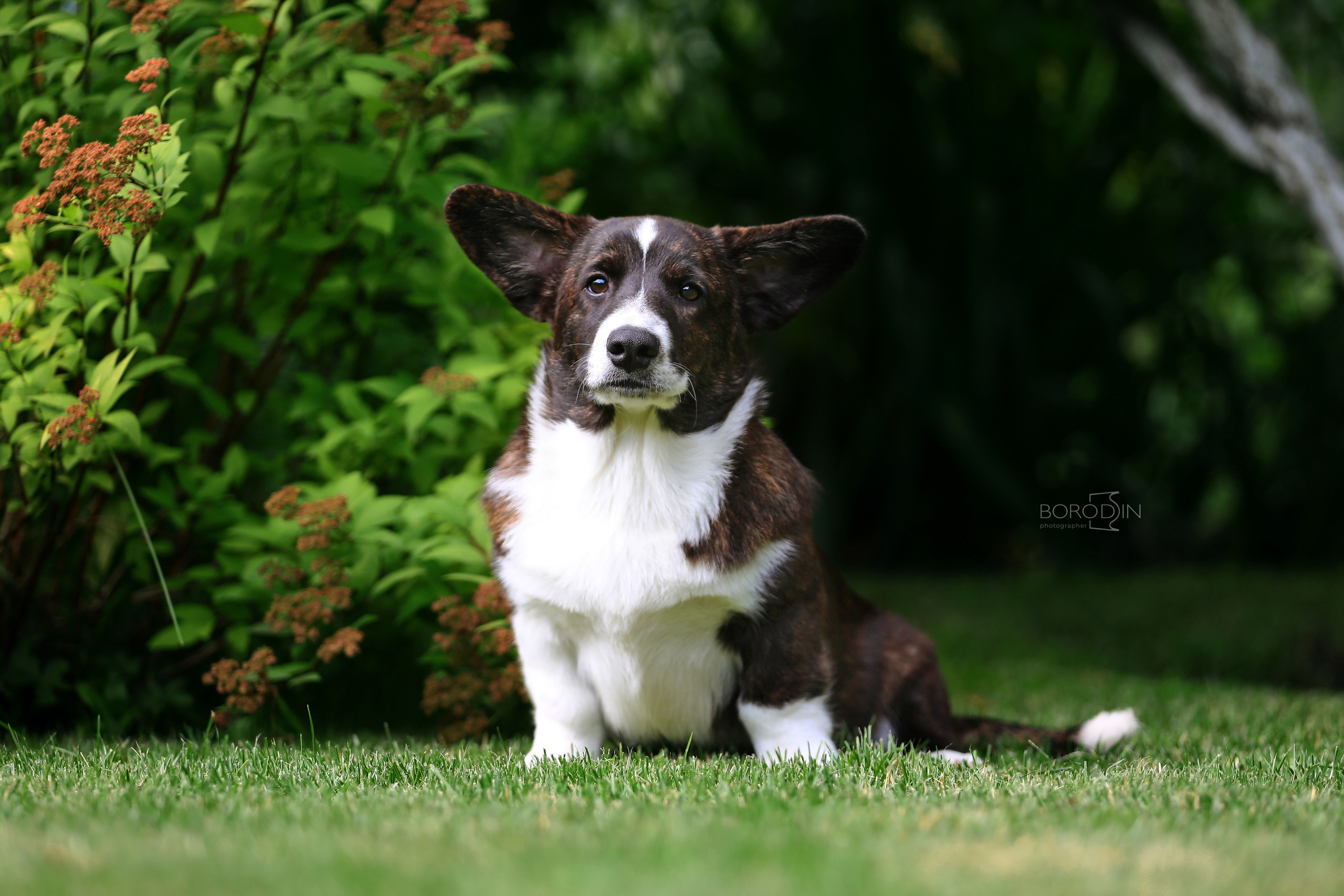 Кардиган. Фотограф Дмитрий Бородин