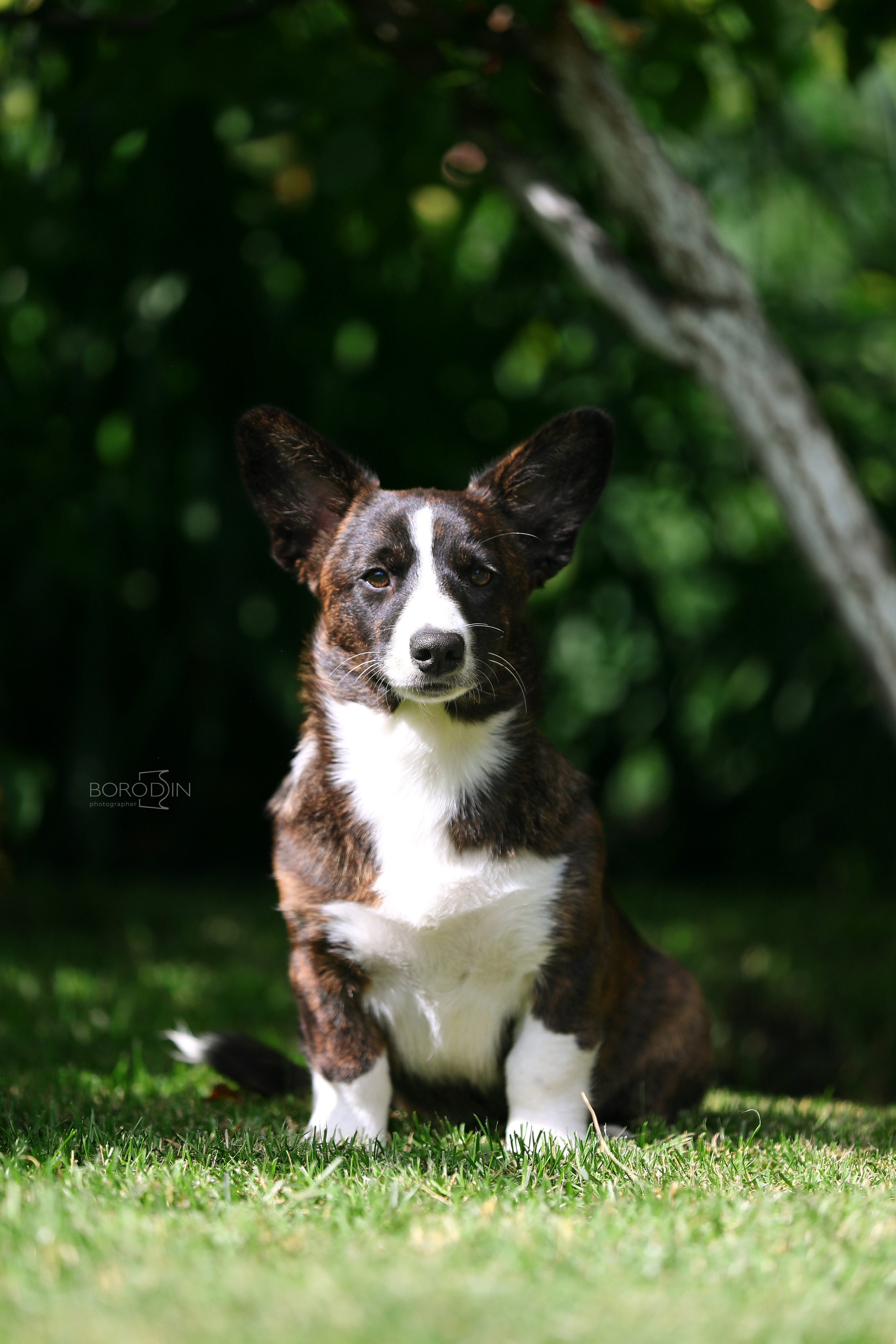 Кардиган. Фотограф Дмитрий Бородин