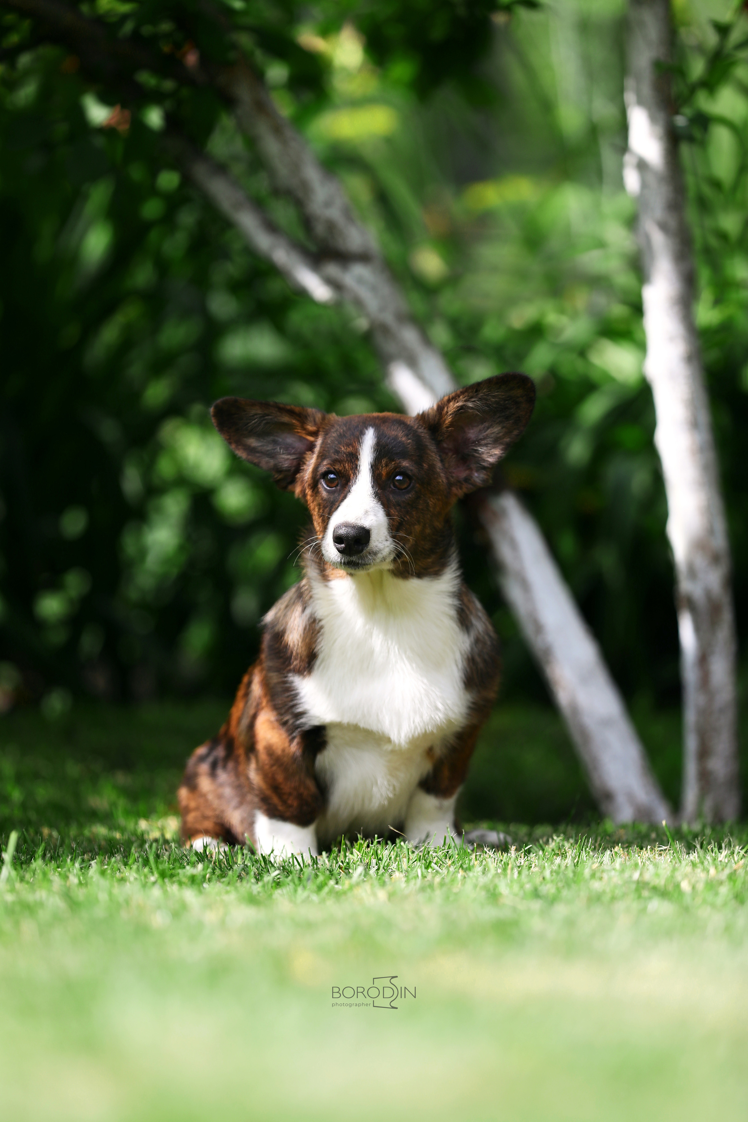Кардиган. Фотограф Дмитрий Бородин
