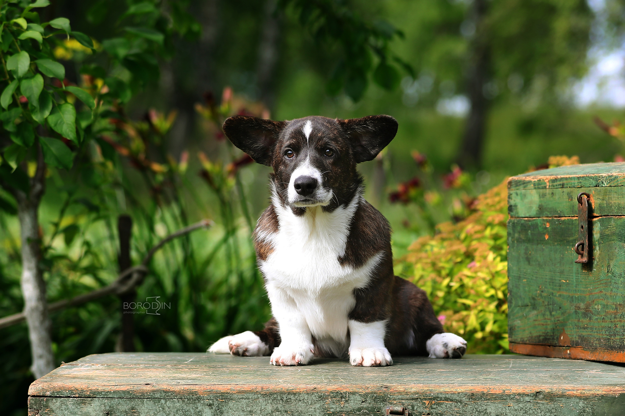 Кардиган. Фотограф Дмитрий Бородин