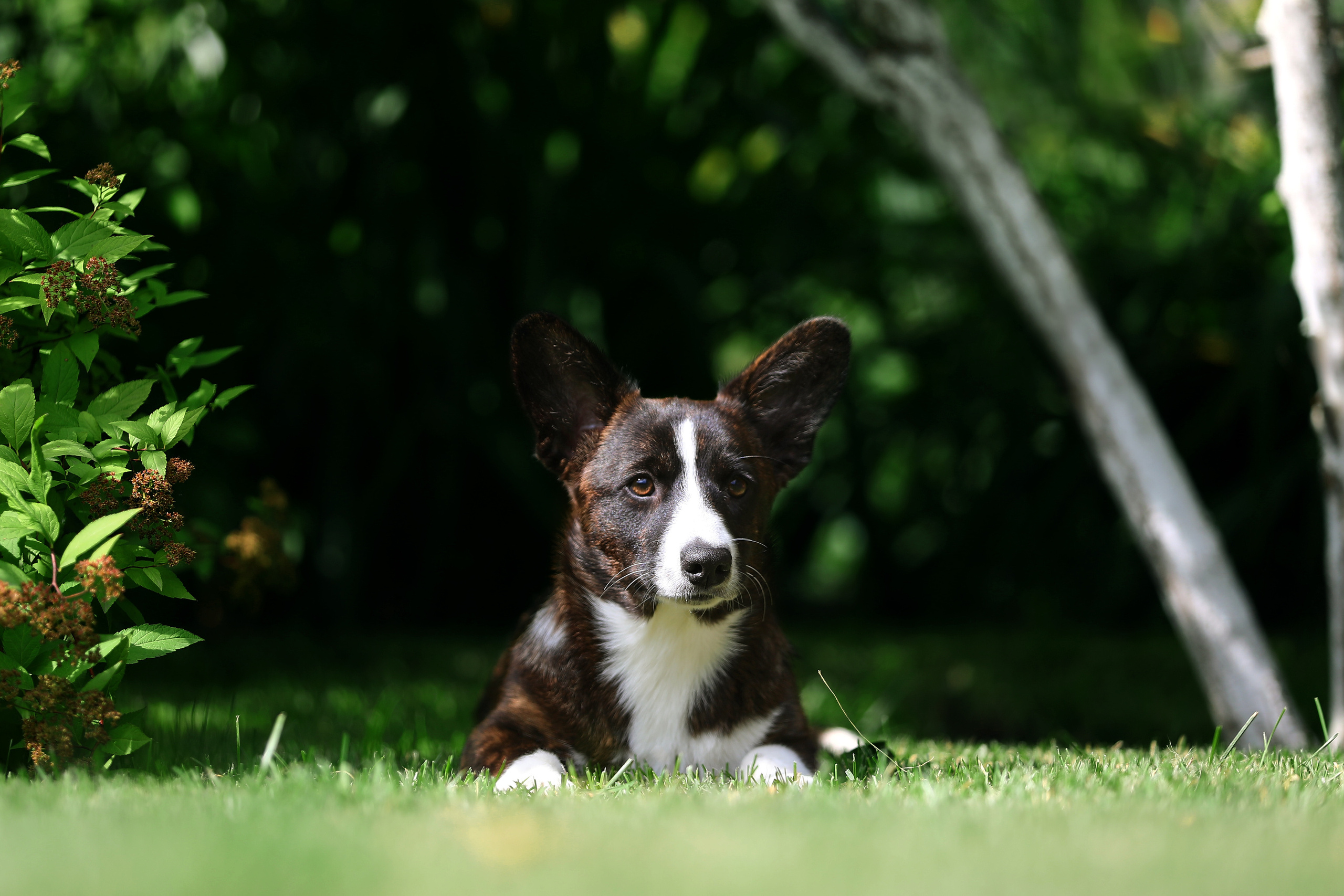 Кардиган. Фотограф Дмитрий Бородин