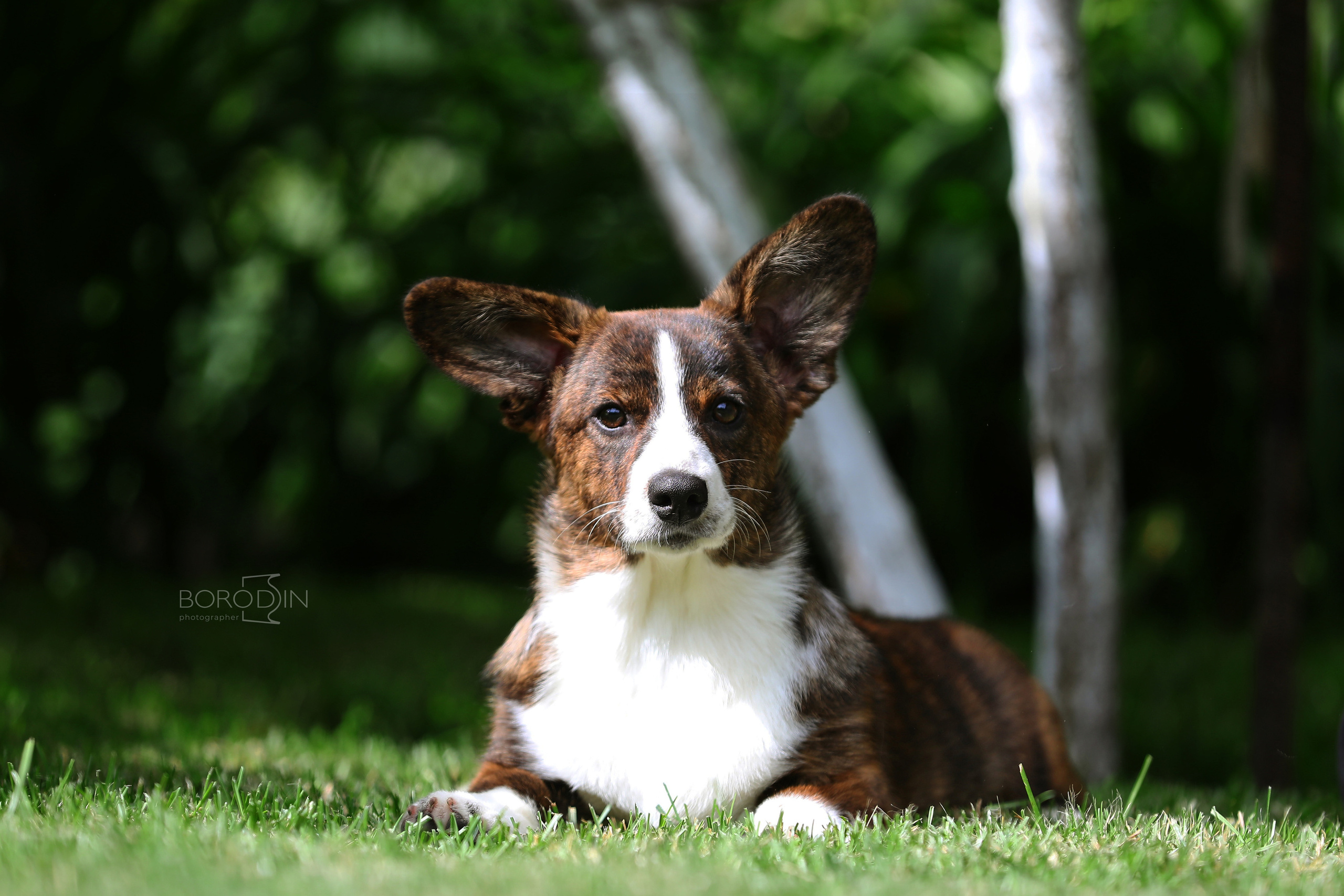 Кардиган. Фотограф Дмитрий Бородин