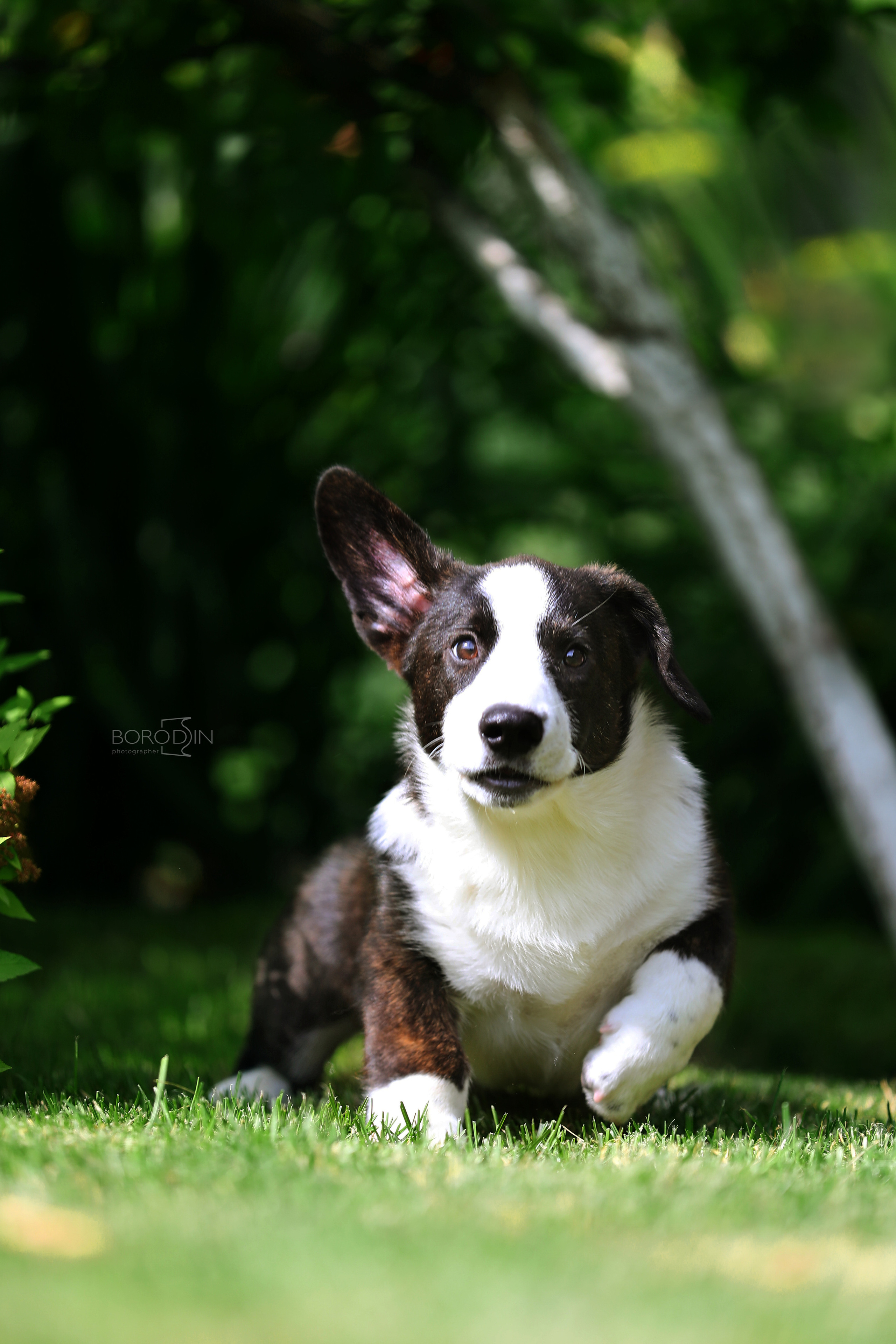 Кардиган. Фотограф Дмитрий Бородин