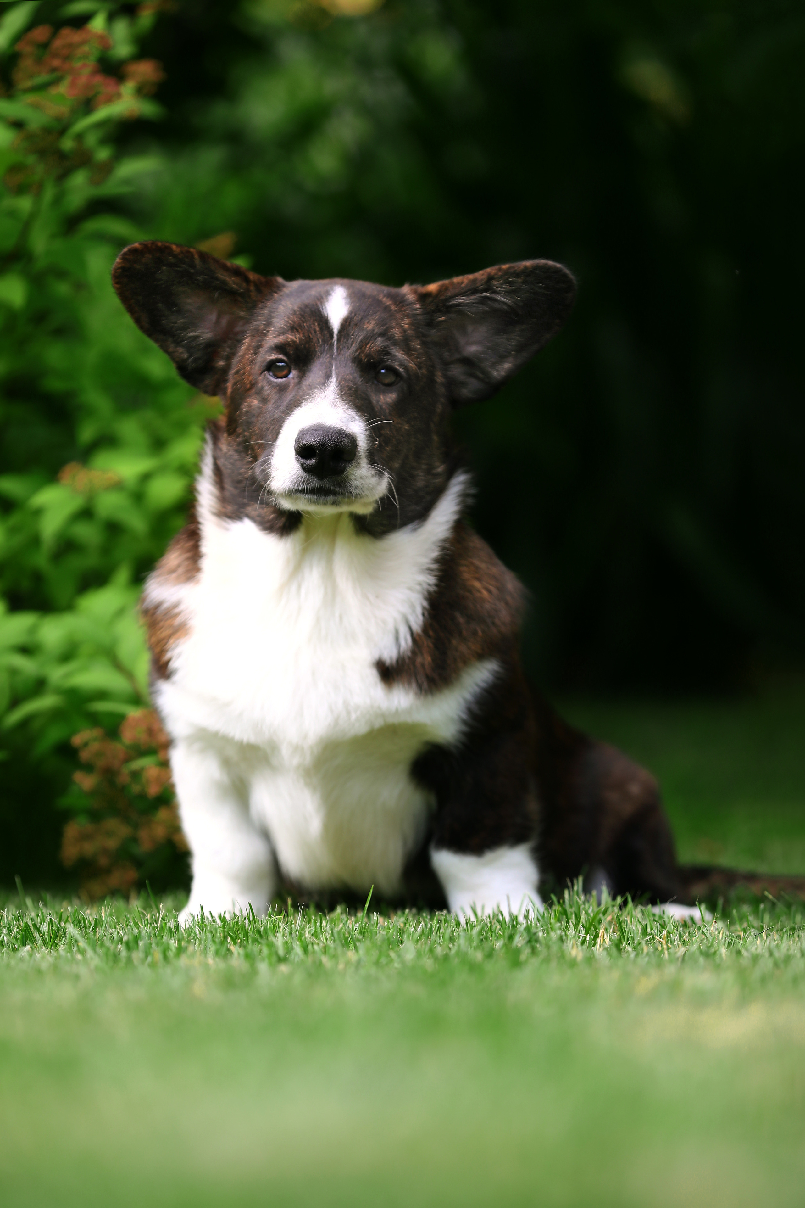 Кардиган. Фотограф Дмитрий Бородин