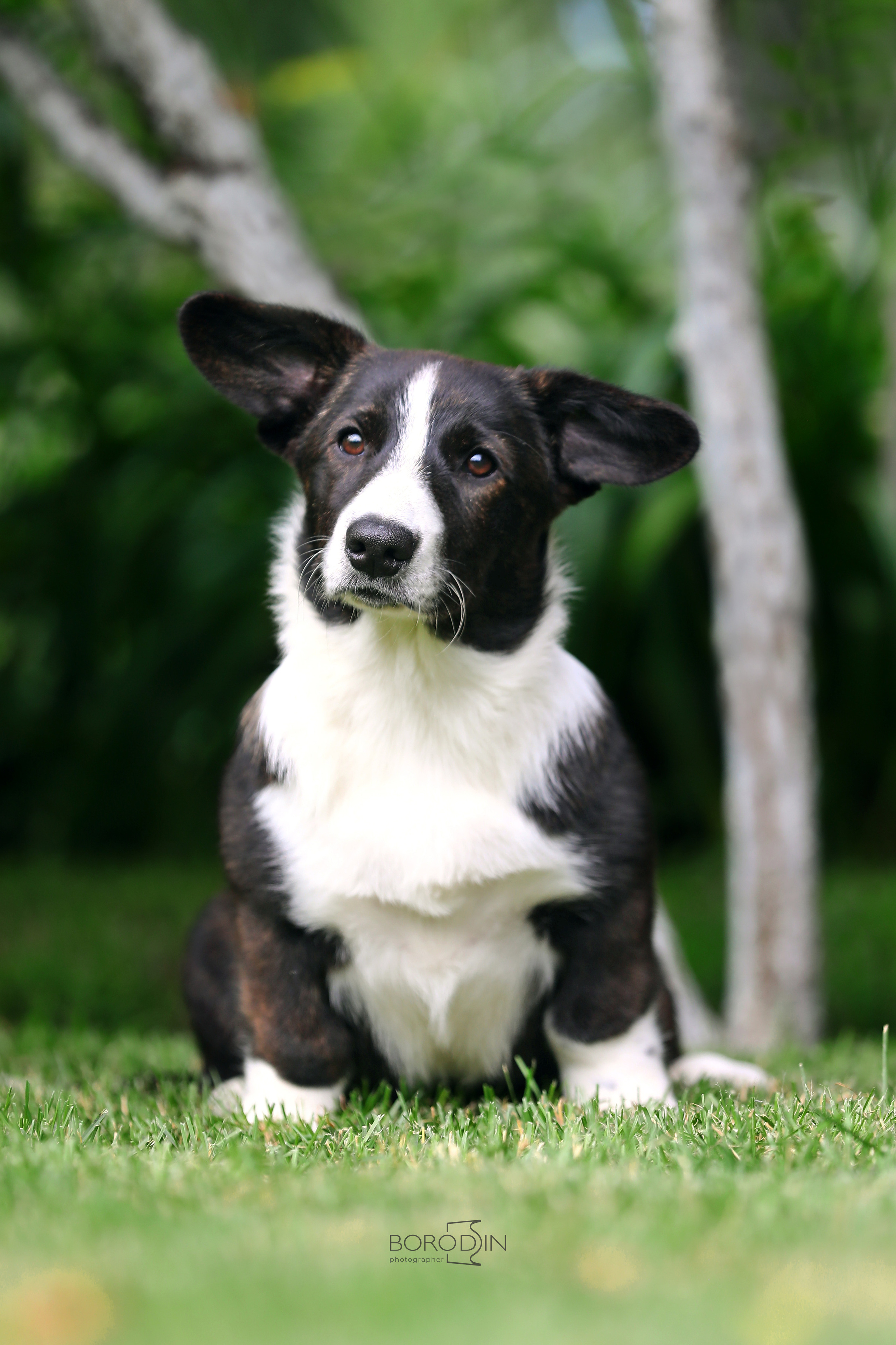 Кардиган. Фотограф Дмитрий Бородин