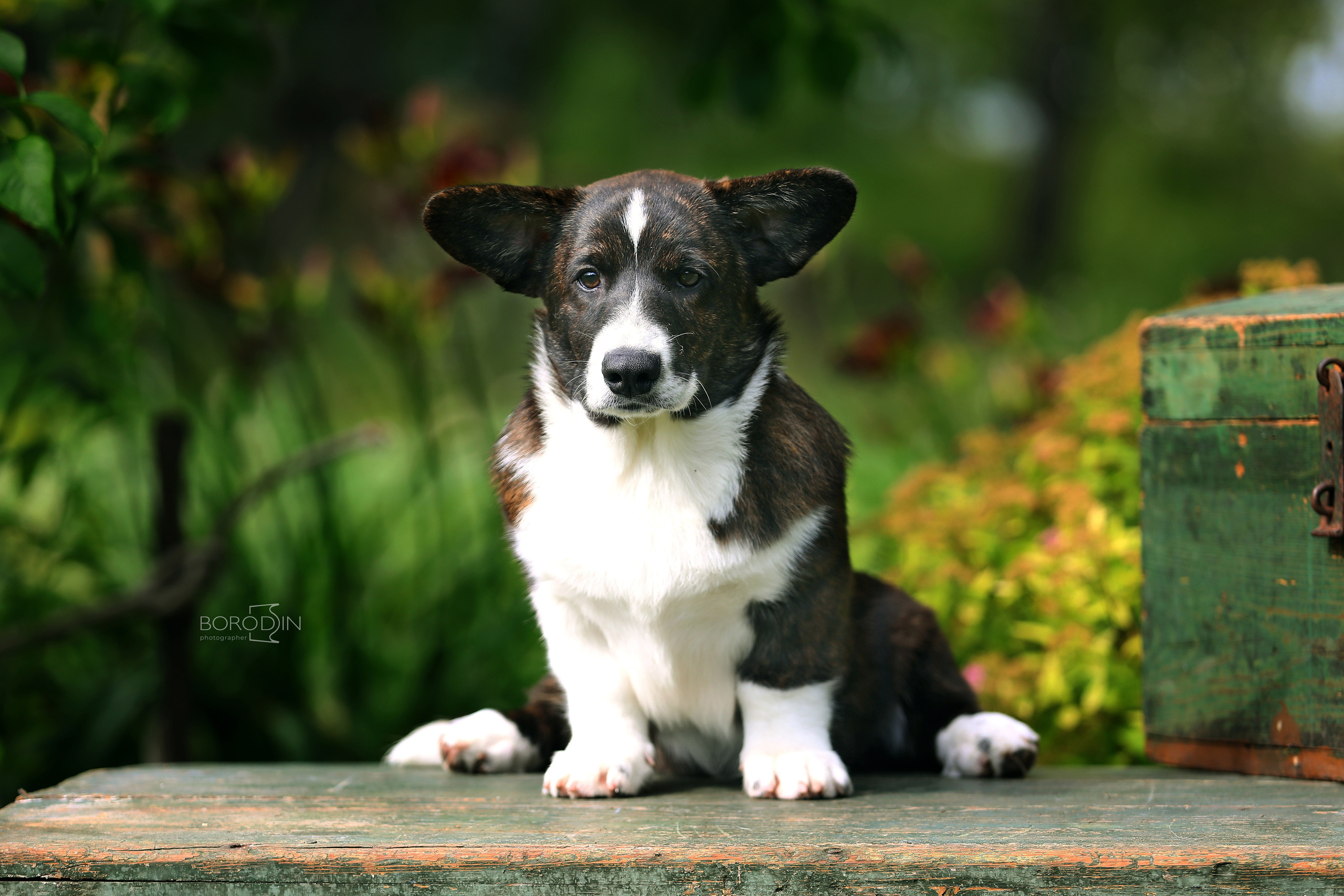 Кардиган. Фотограф Дмитрий Бородин