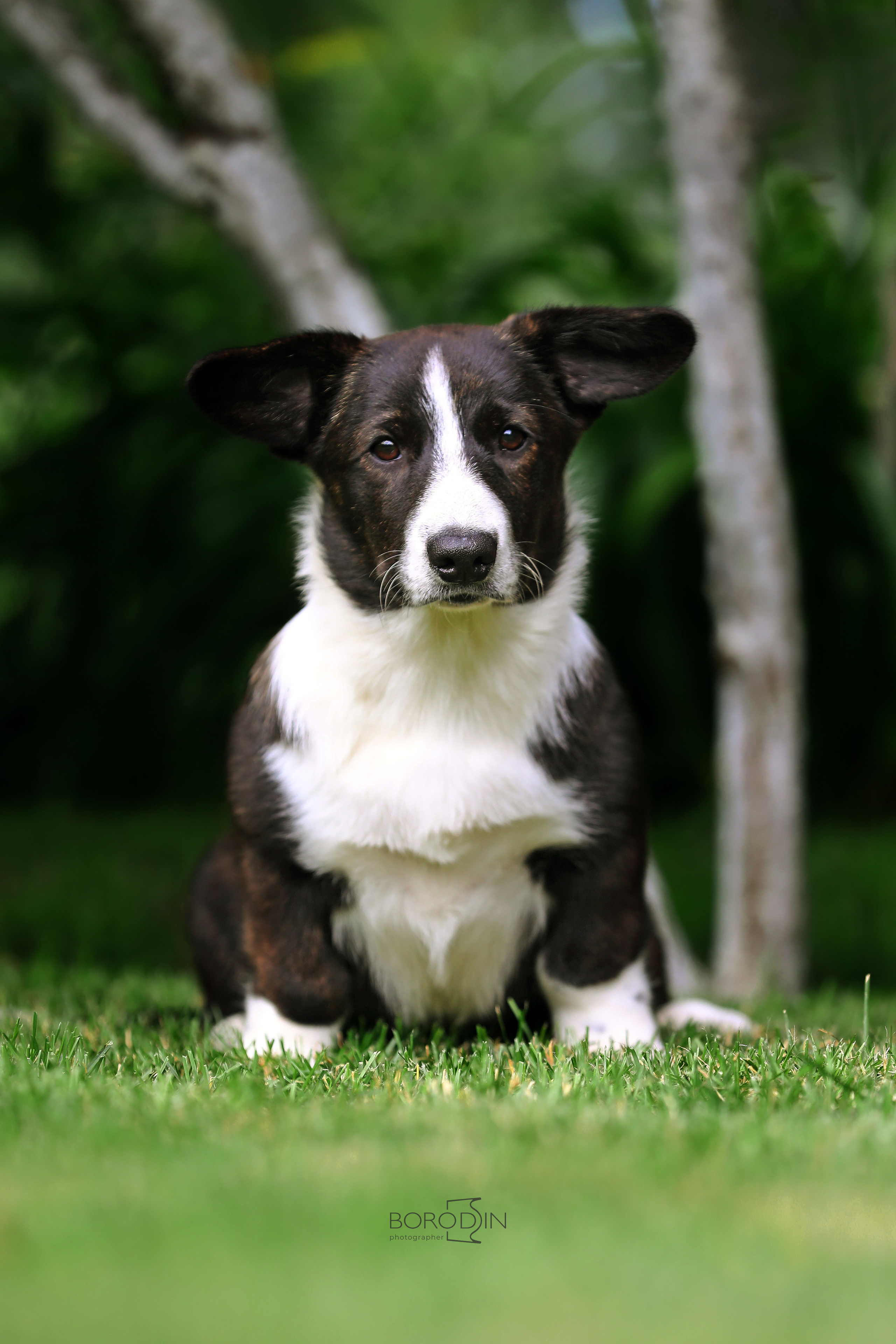 Кардиган. Фотограф Дмитрий Бородин