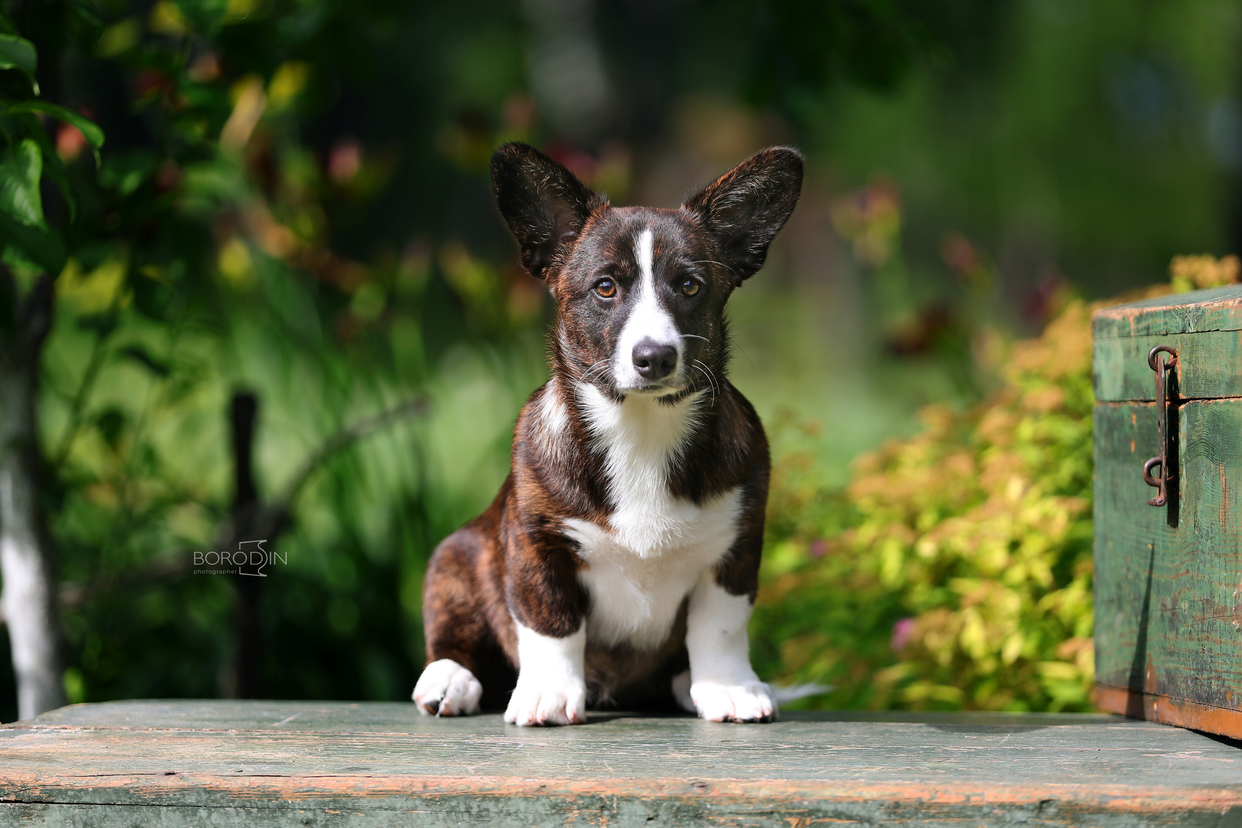 Кардиган. Фотограф Дмитрий Бородин