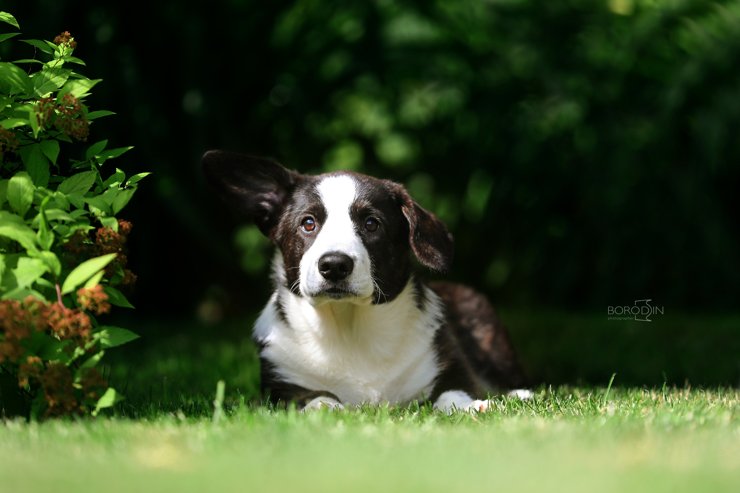 Кардиган. Фотограф Дмитрий Бородин
