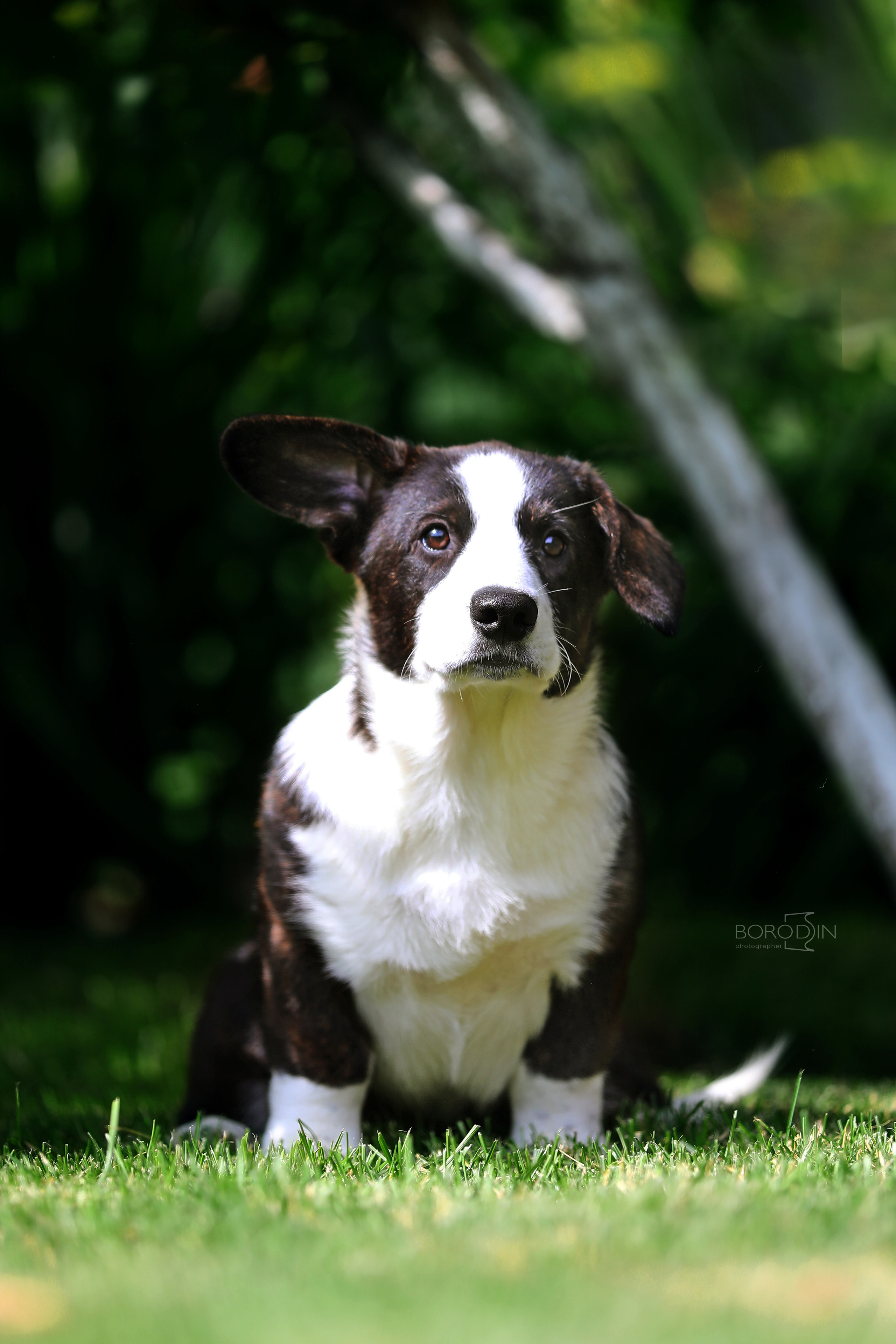 Кардиган. Фотограф Дмитрий Бородин