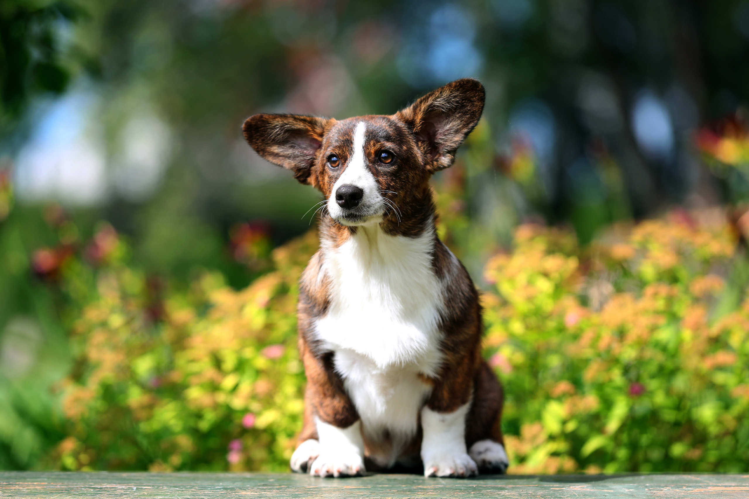 Кардиган. Фотограф Дмитрий Бородин