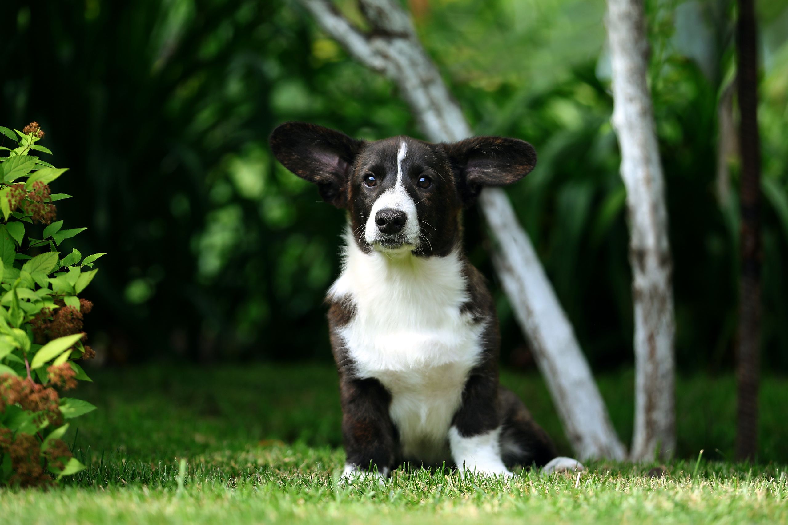 Кардиган. Фотограф Дмитрий Бородин