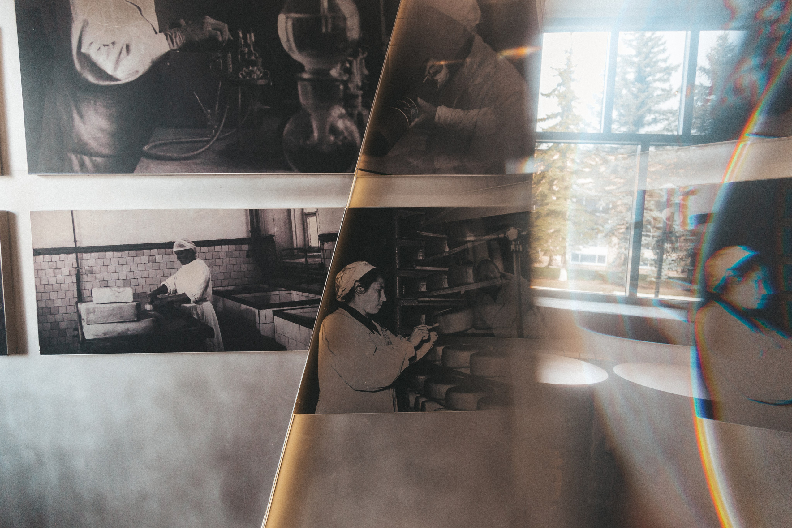 Музей-завод Сыр Культ Просвет. Фотограф в Ярославле Ольга Пыненкова