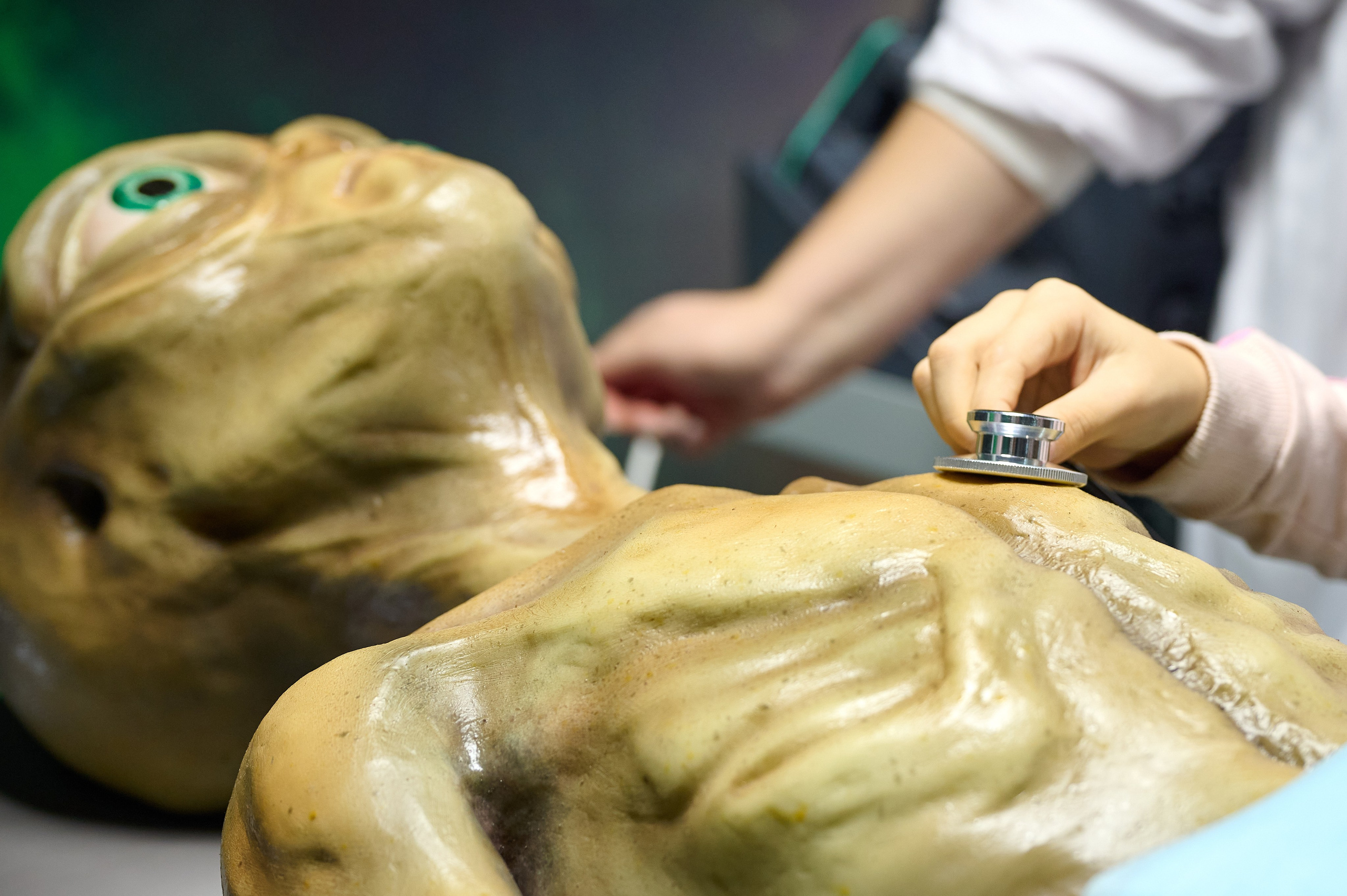 Вторжение инопланетян и криошоу. Фотограф Опыт Качество Скорость Горный Алтай Барнаул