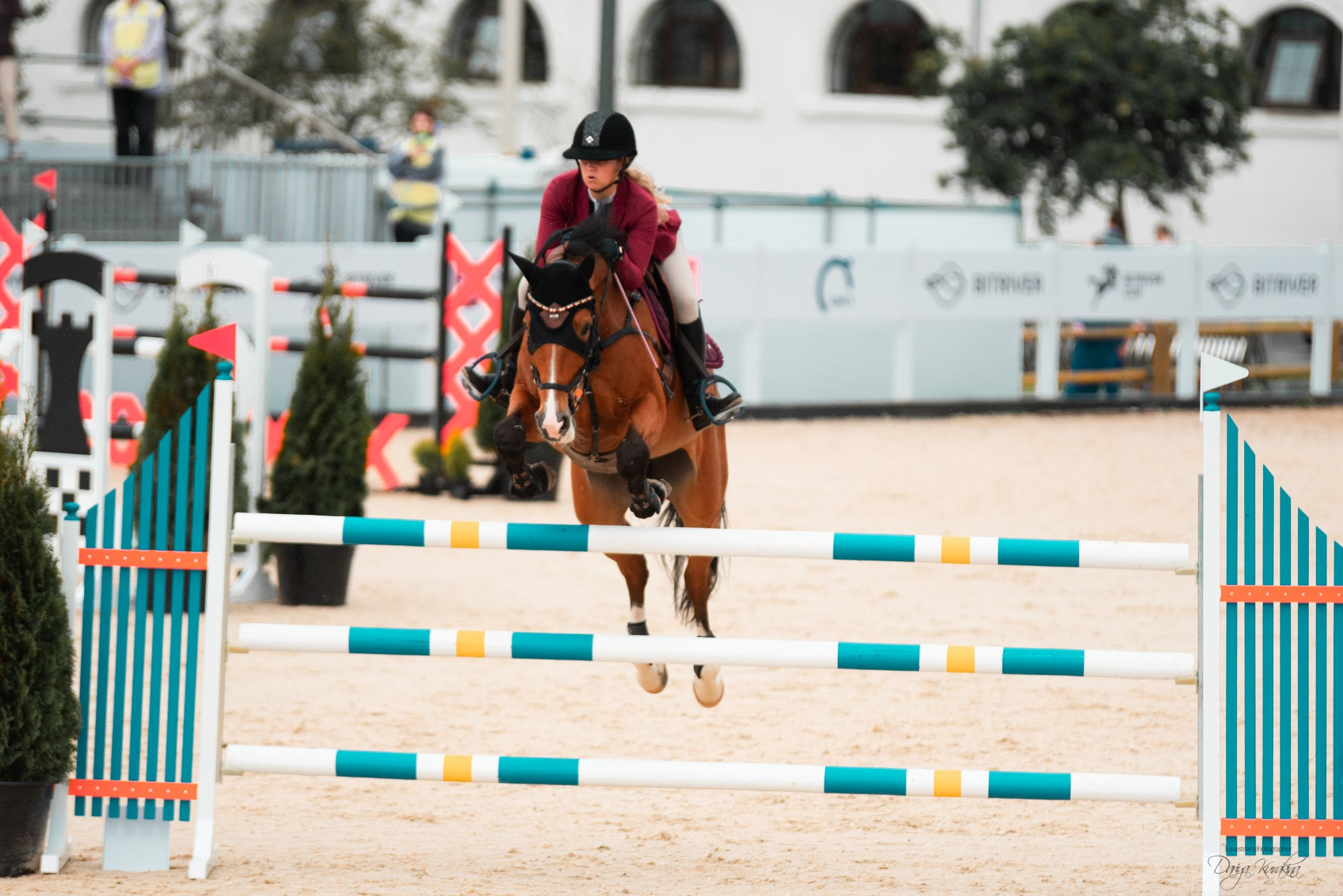 BITRIVER CUP 2023. Конный фотограф Куракина Дарья • Фотосессии с лошадьми