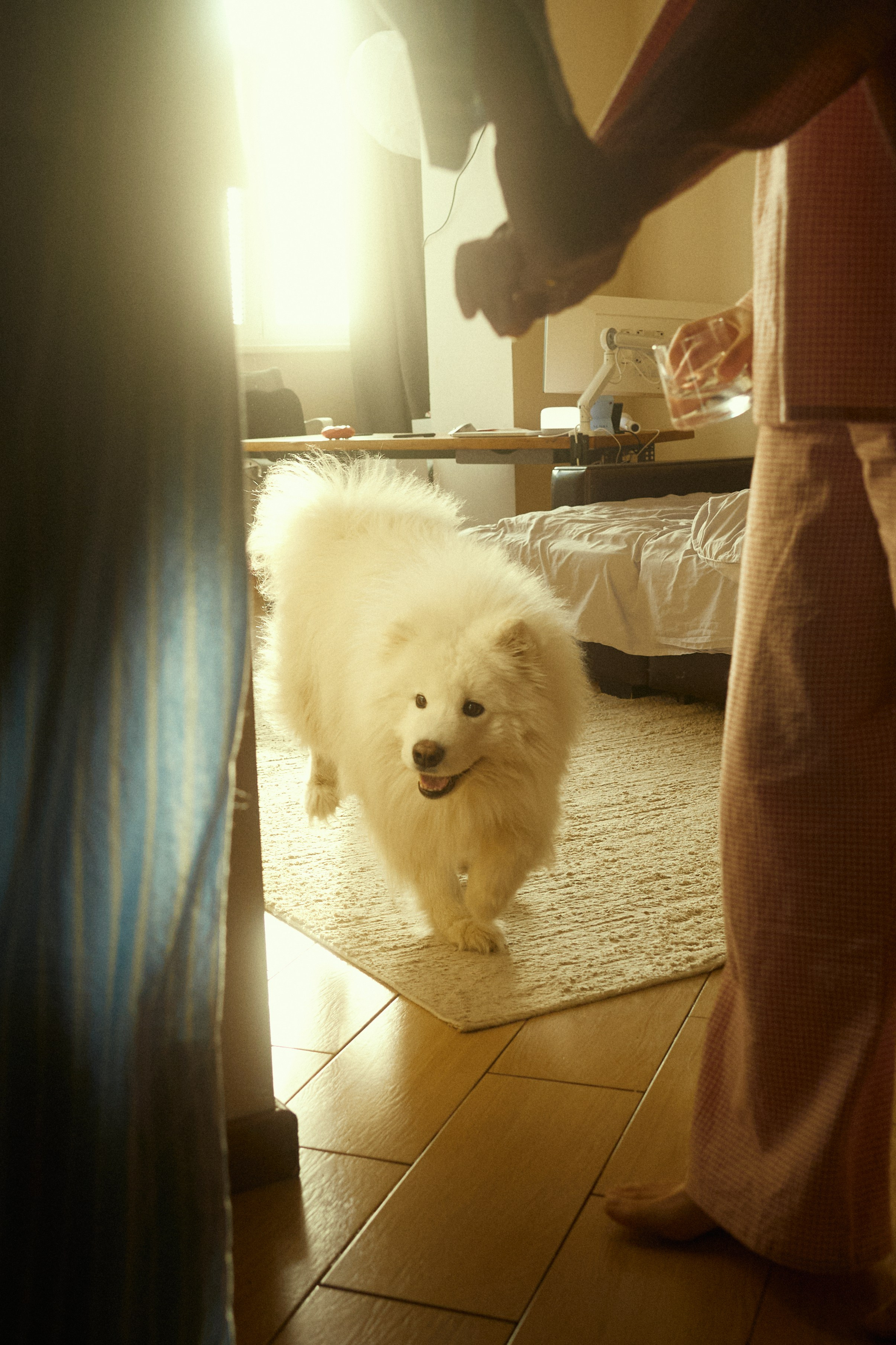 Ангелина Шарабанова