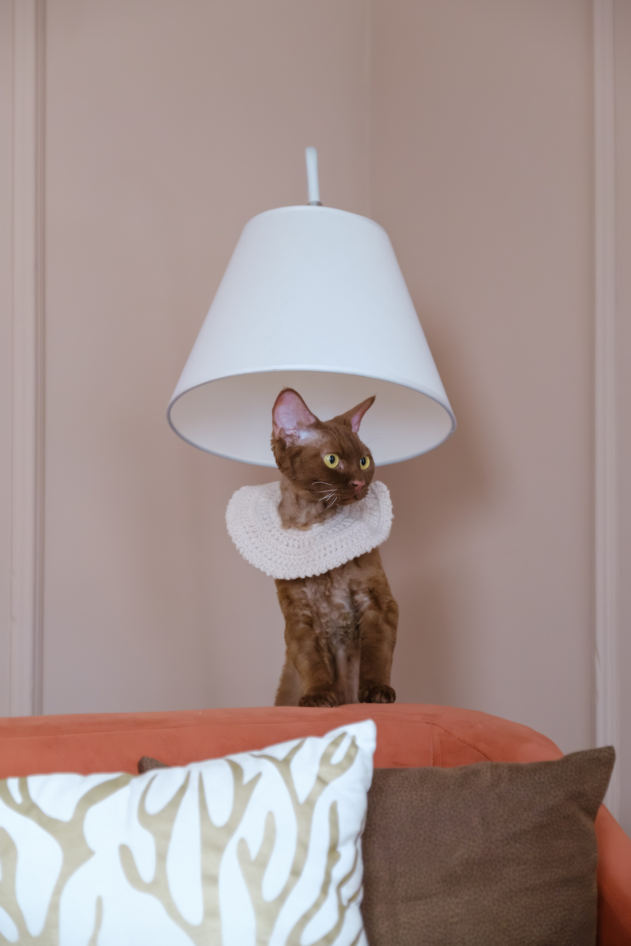 Семья Савельевых: беременность. Семейный фотограф в Москве Светлана Потемкина