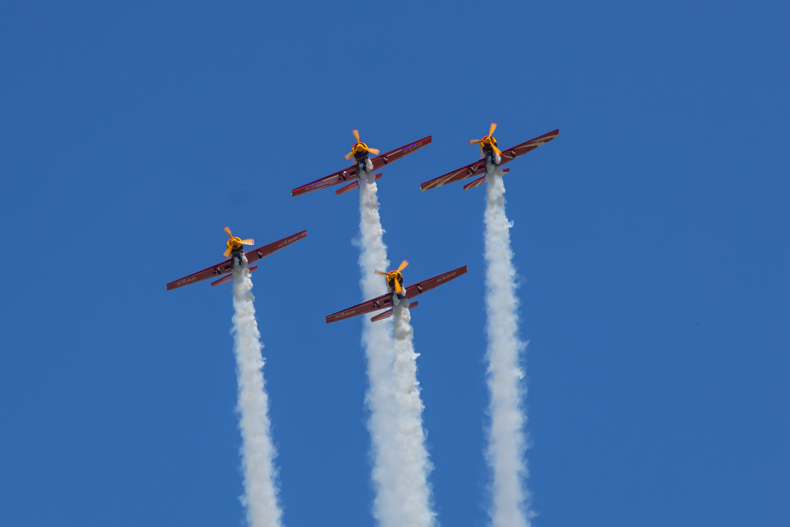 Крылья Пармы 2025 г. KATERINA VINOKUROVA ФОТОГРАФ ПЕРМЬ