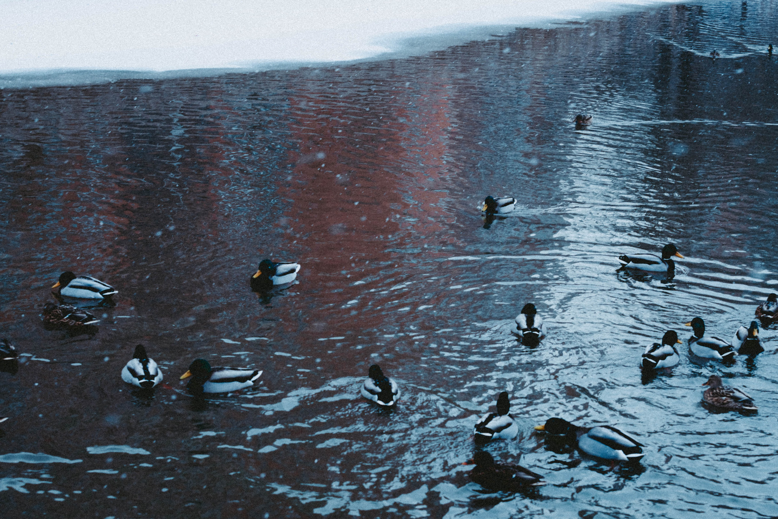 Марафон у дома_Мытищи. Александра Мельниченко/ Бегающий фотограф